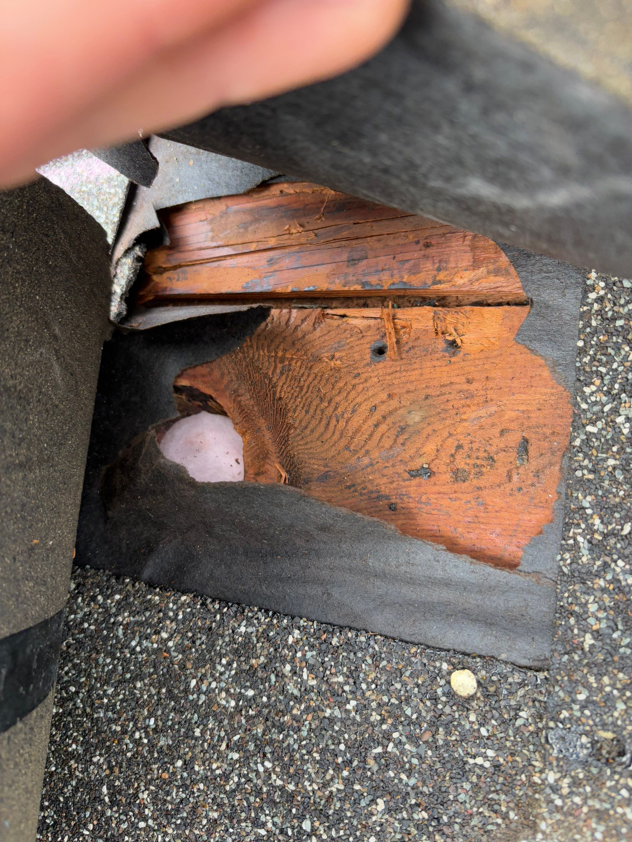 GAF Timberline NS, Charcoal, House and Garage Roof Replacement  by Proline Roofing & Restoration LLC