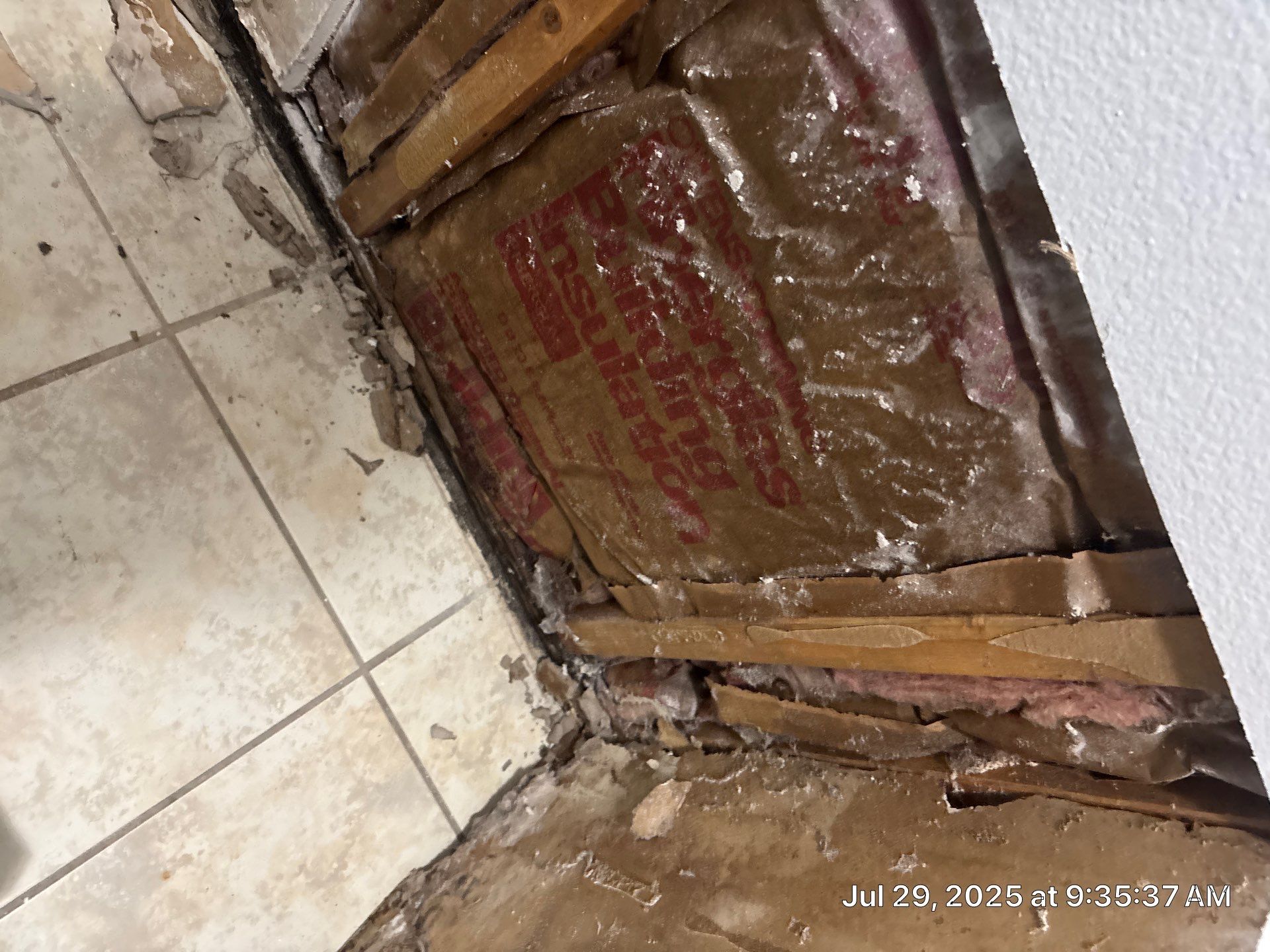 Mold Removal In Sarasota Florida by Ampm Restoration Services