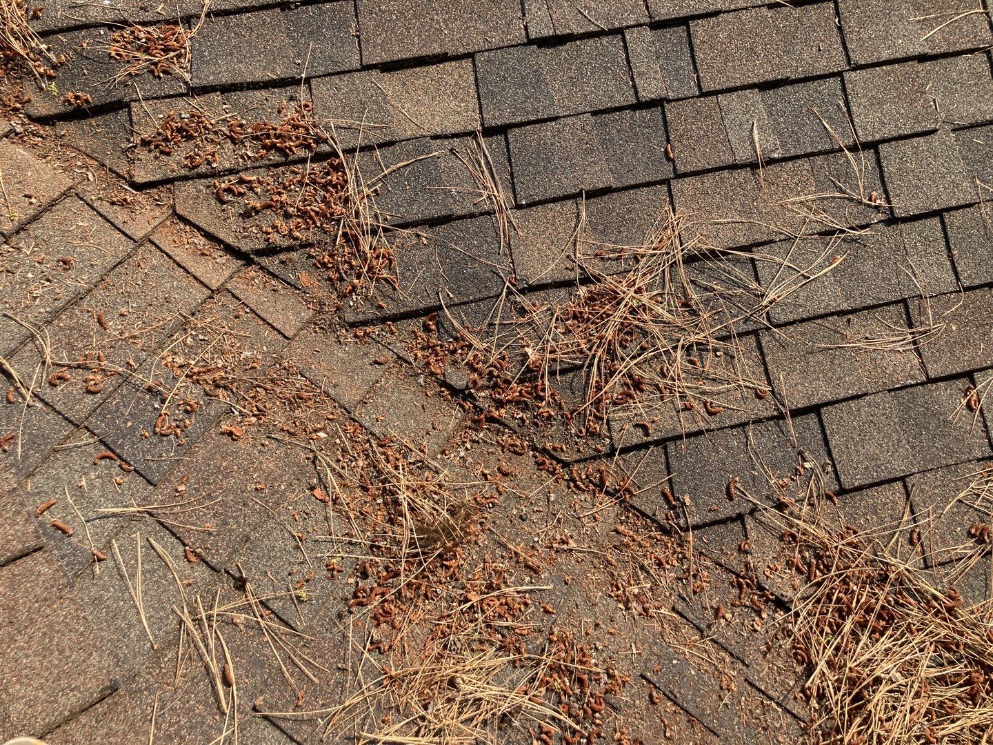 Two story new build gets a CertainTeed Landmark roof in Shenandoah  by ID Roofing LLC