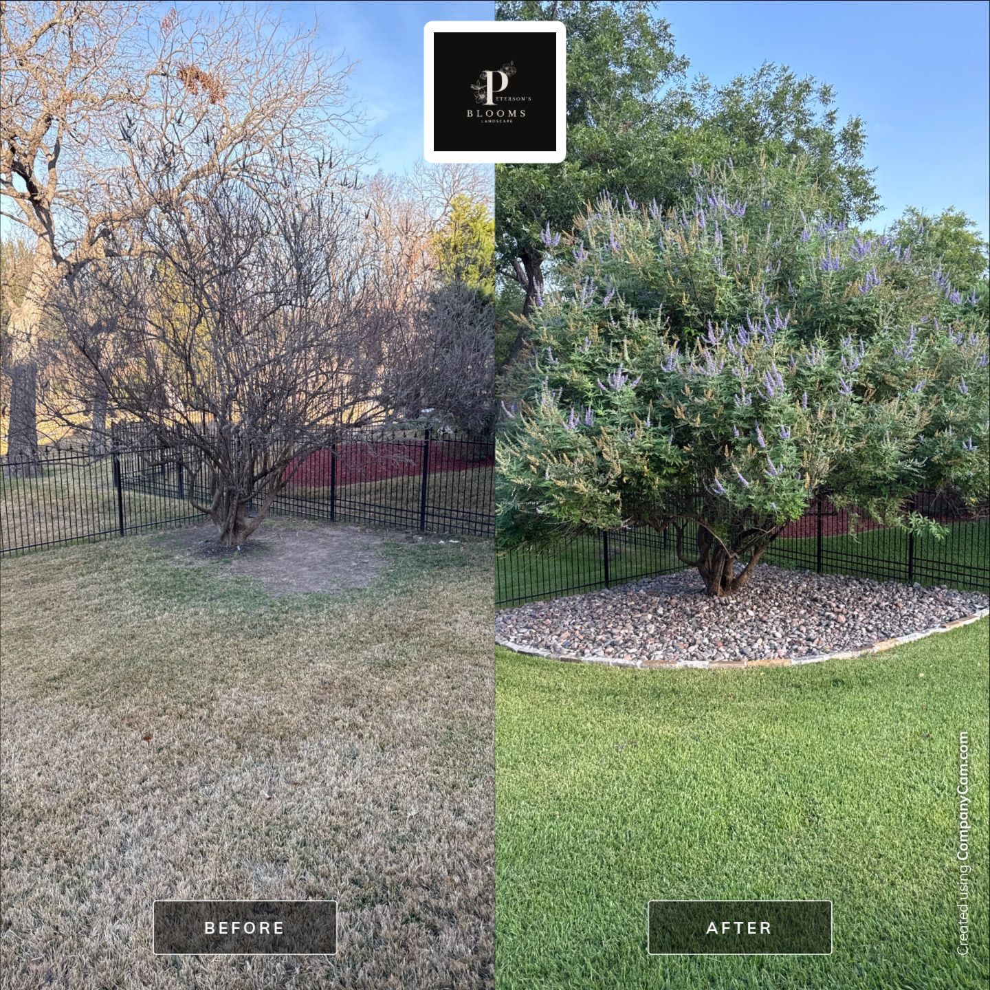 Before and Afters by Peterson’s