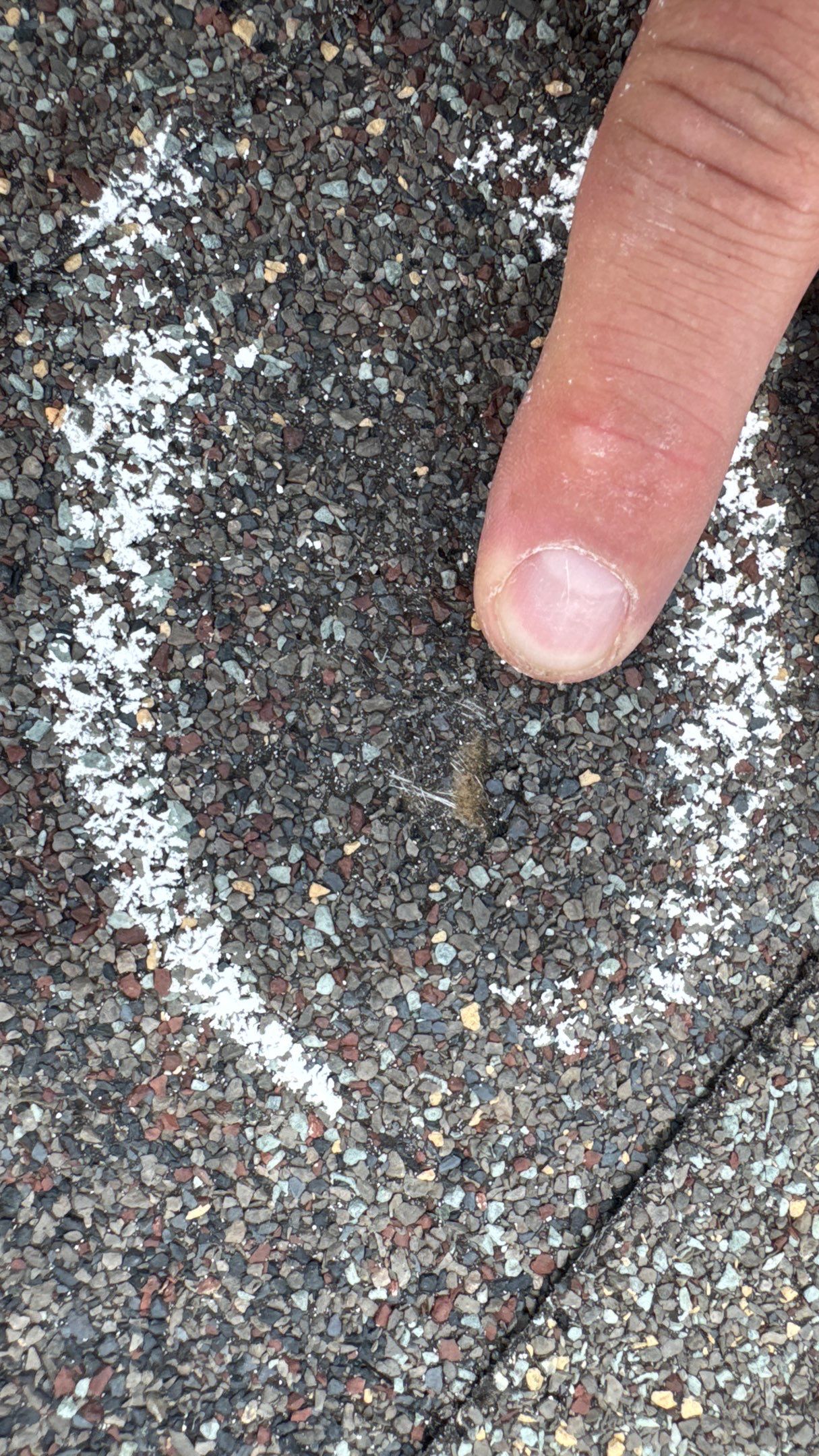 Euroshield in the Black Hills by Weather-Tite Exteriors LLC