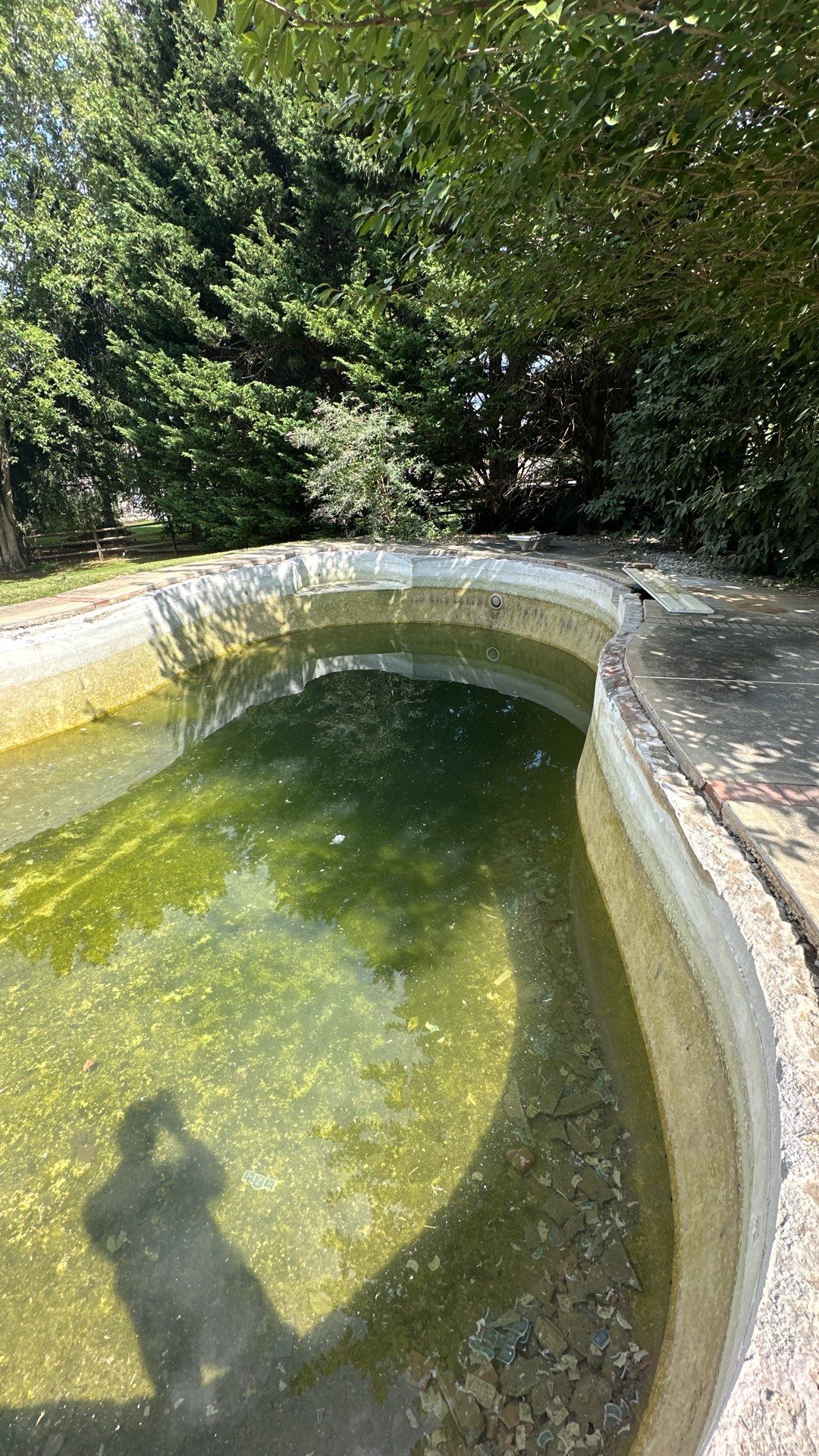 Renovation in Sykseville, MD by Elysium Pools