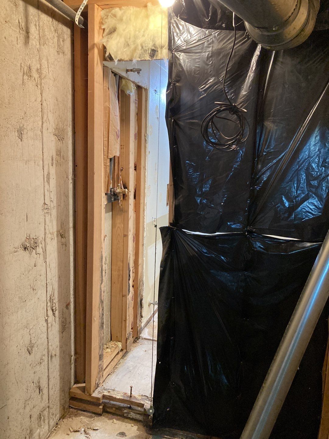 Mold Remediation by Accountable Home Services