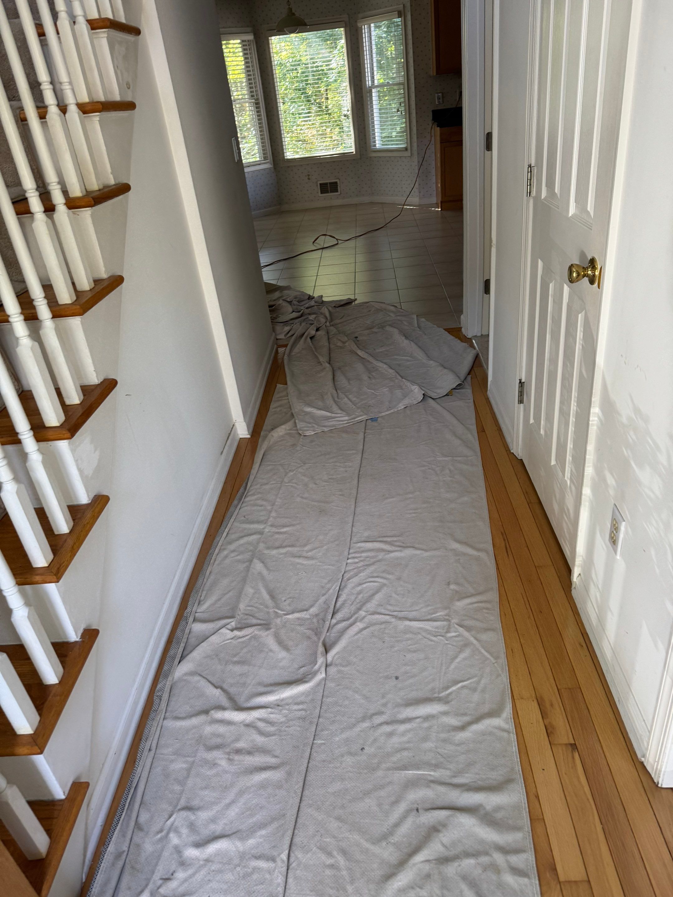 Interior French Drain West Orange, New Jersey by Pure Service Pro, LLC 
