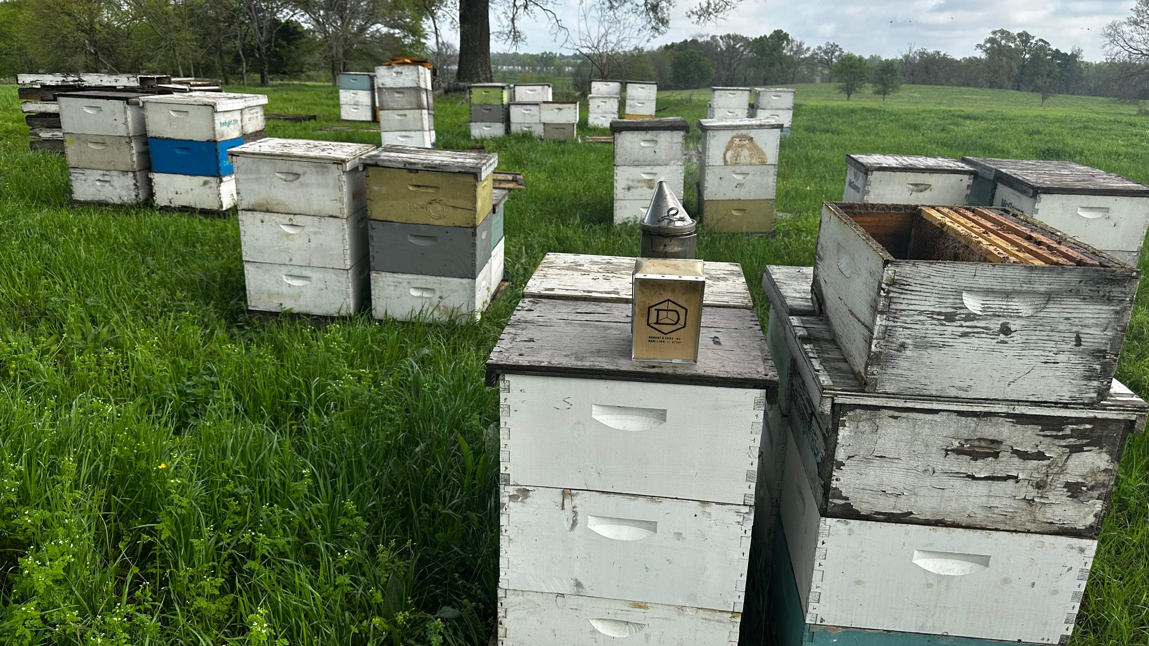 Traylor's Hay Meadow Apiary by Rockwall Honey Bee Company