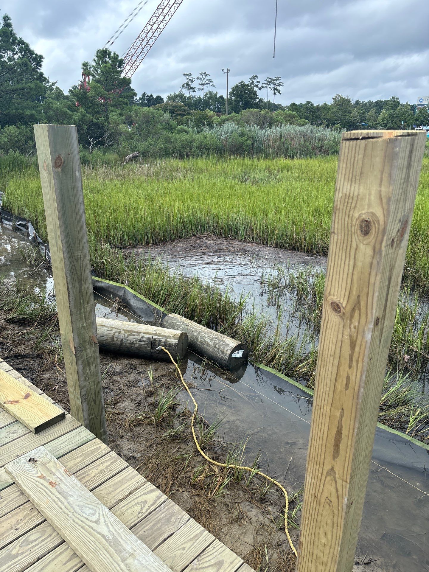 Project in Virginia Beach by Gregory Sandstrom