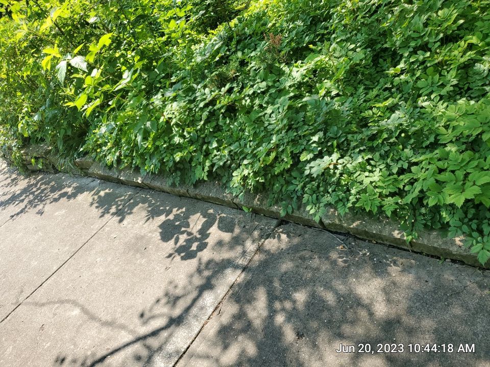 natural stone cleaning using Algaecide, soft wash soap by Northern Power Washing LLC.