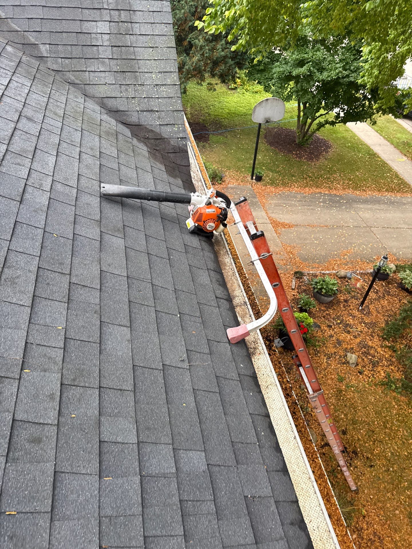 House Wash and Driveway Clean by Shulla Exterior Cleaning