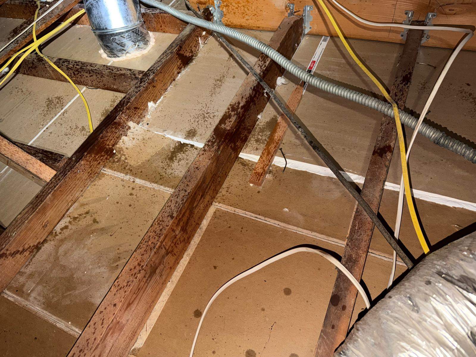 Project in Anaheim by Advanced Attic Solutions