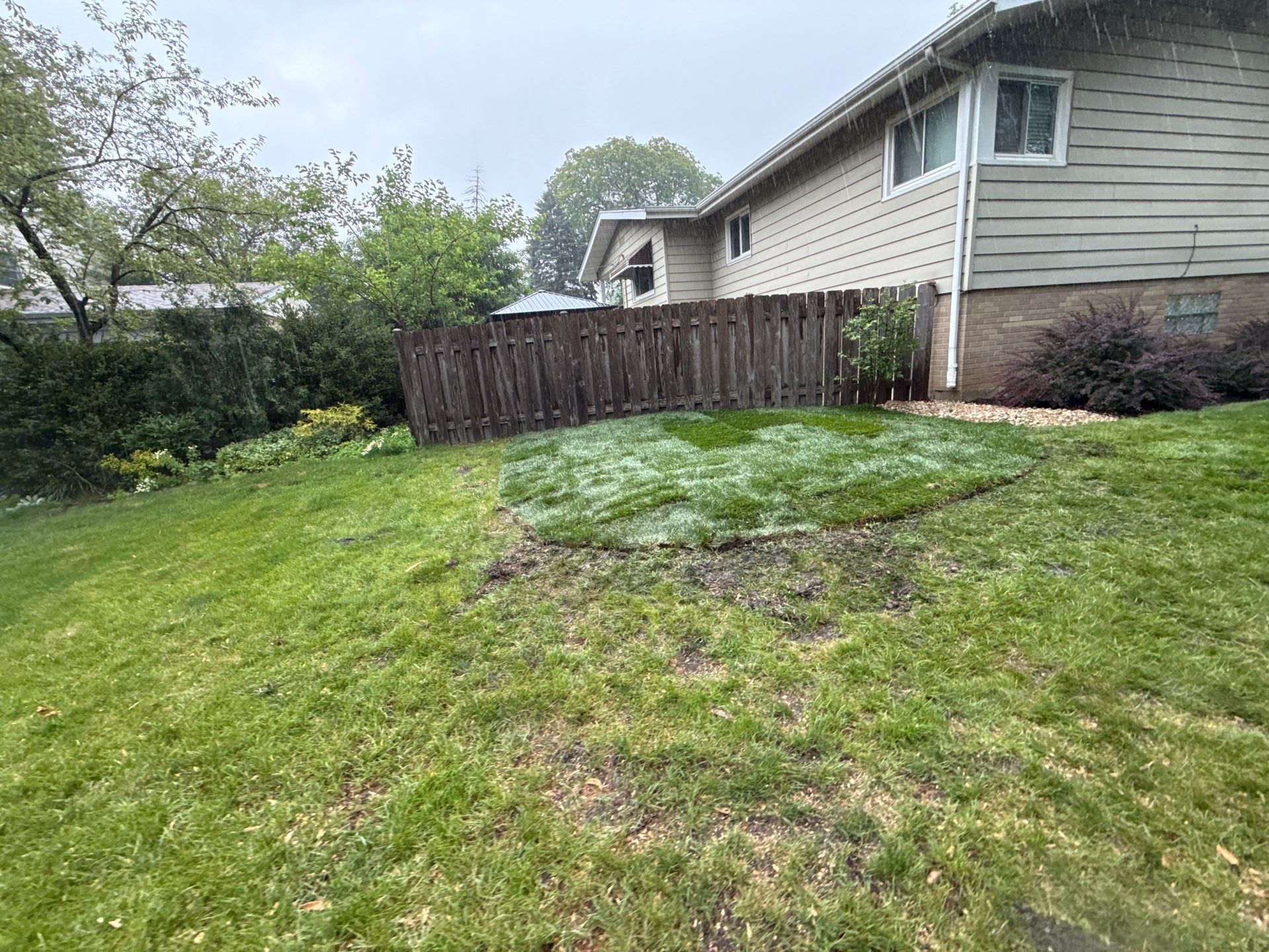 Amy N. - Arlington Heights, IL by A&N 