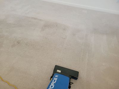 Carpet Cleaning, Vacant Townhome