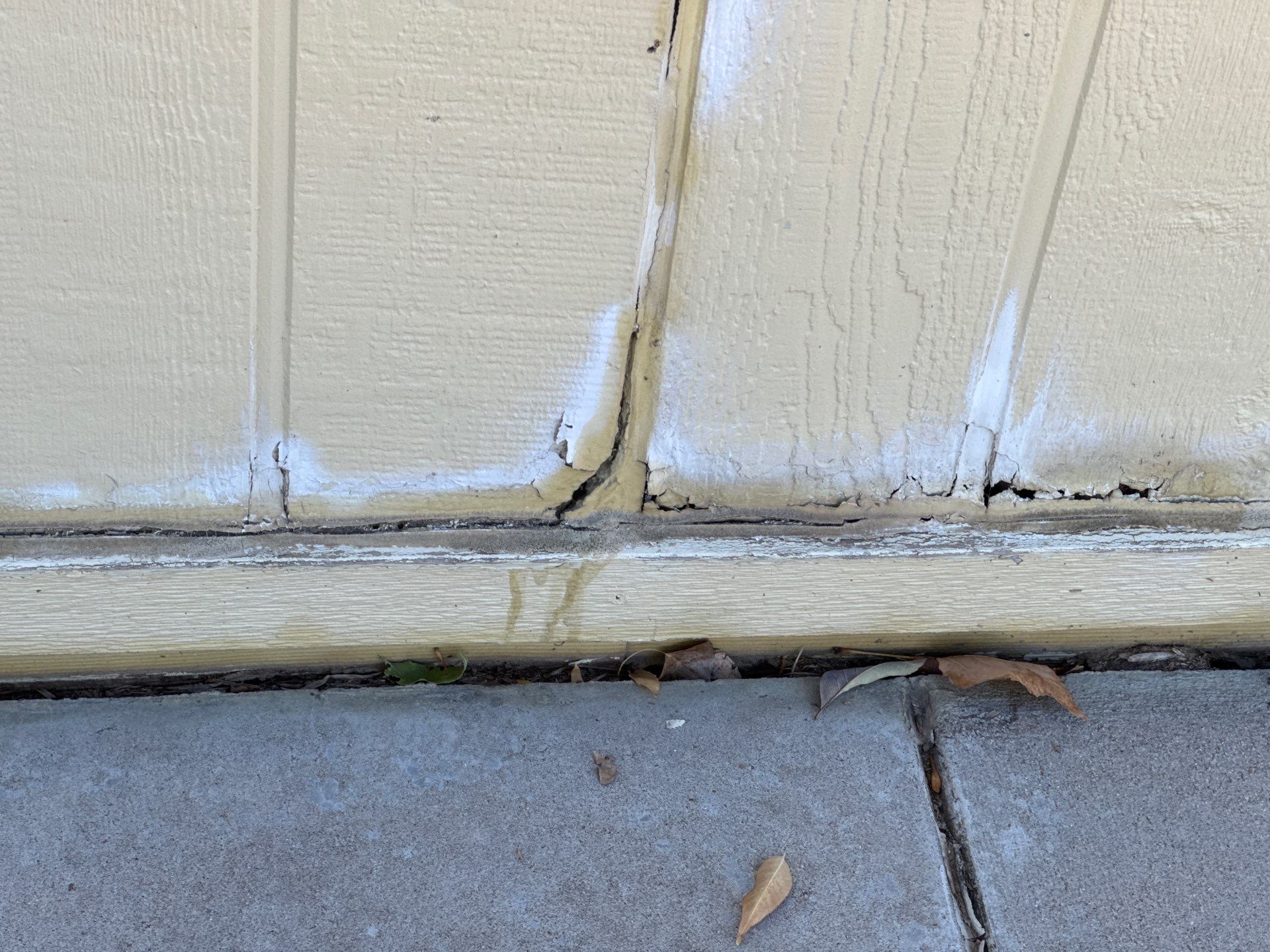 Mold Damage Restoration by Accountable Home Services