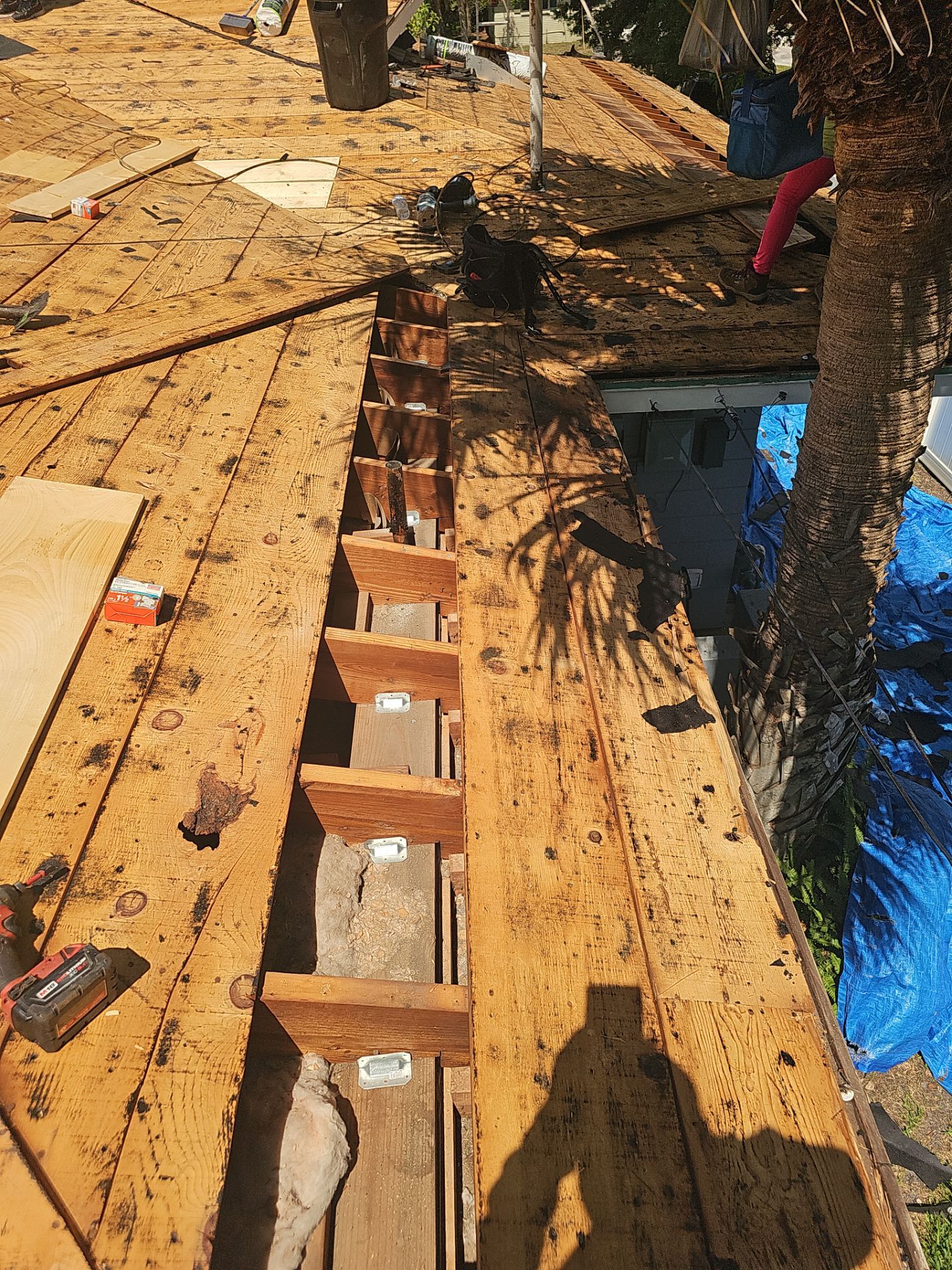 Project in St. Petersburg 33712  by Mitchell Roofing Company LLC 