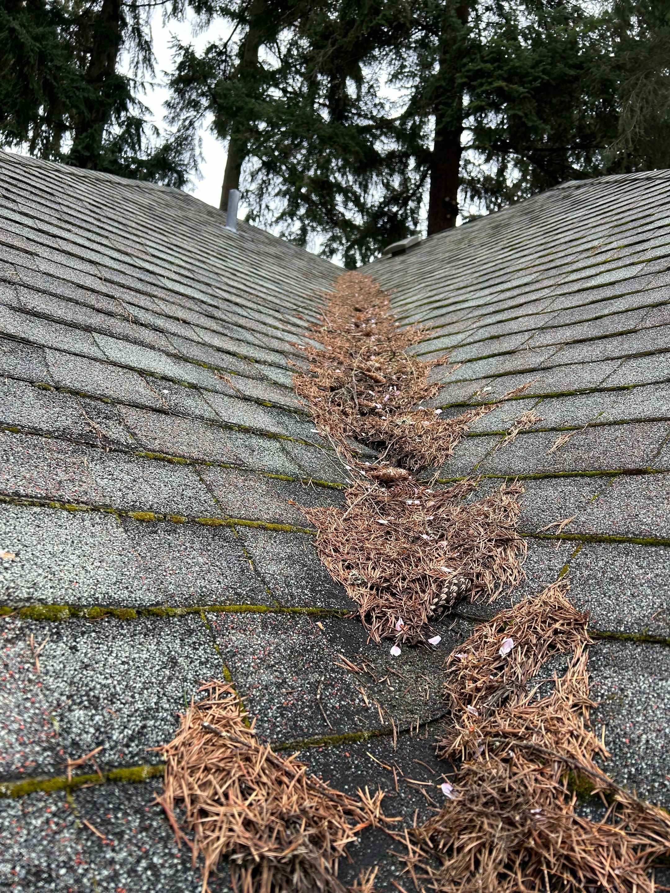 Project in Redmond by Peaks and Valleys Construction