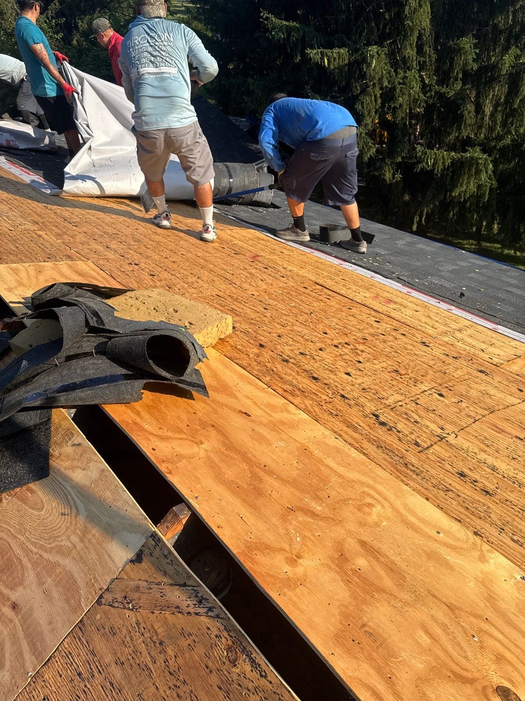 Project in Westminster by Elvis General Construction LLC