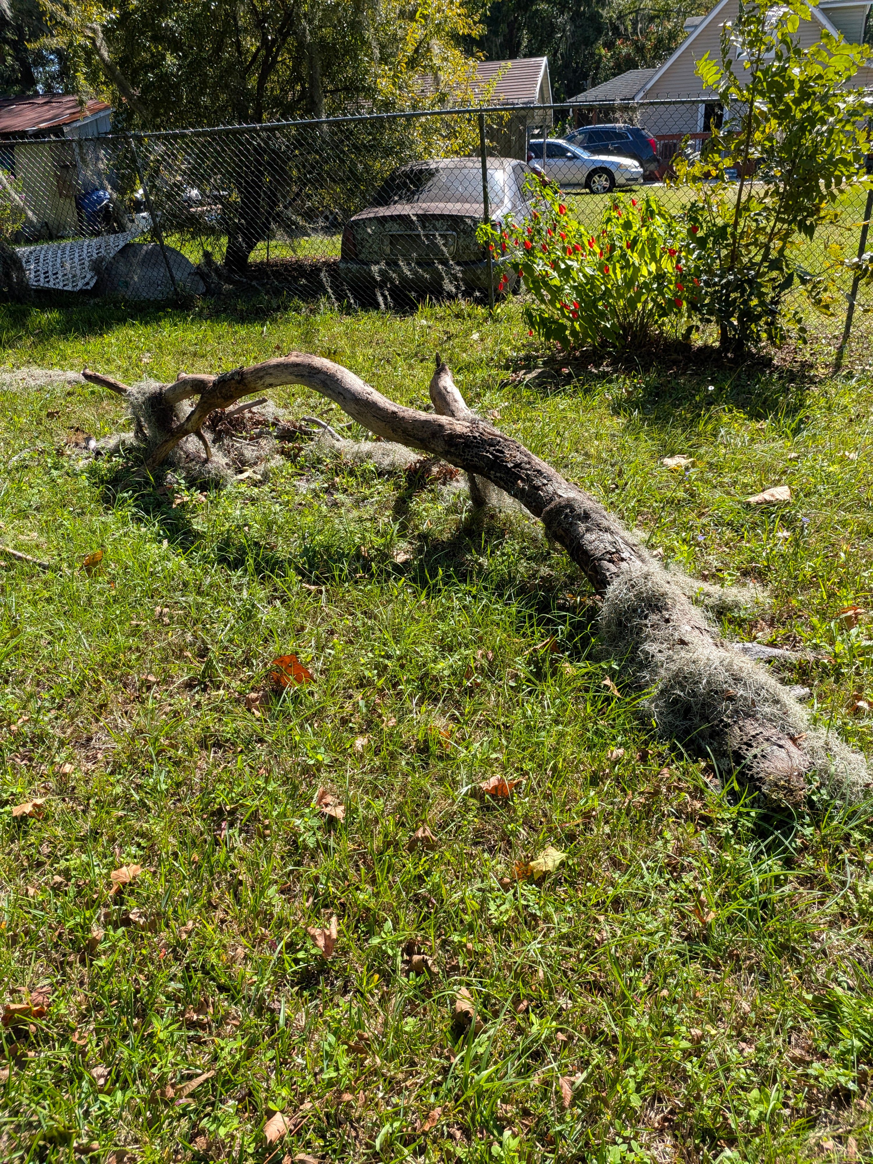 Vacant Lot Cleanup & Ongoing Maintenance — Northside Jacksonville (32219) by Harmoni Home Services