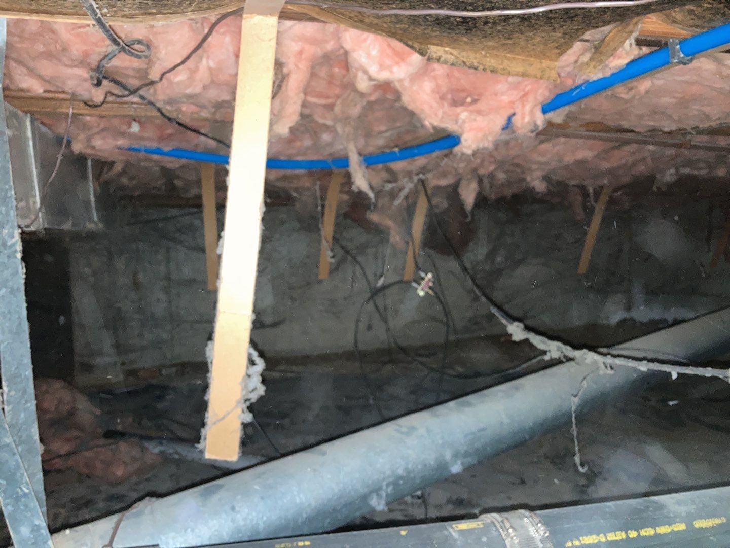 Crawl Space Cleanup  by Accountable Home Services