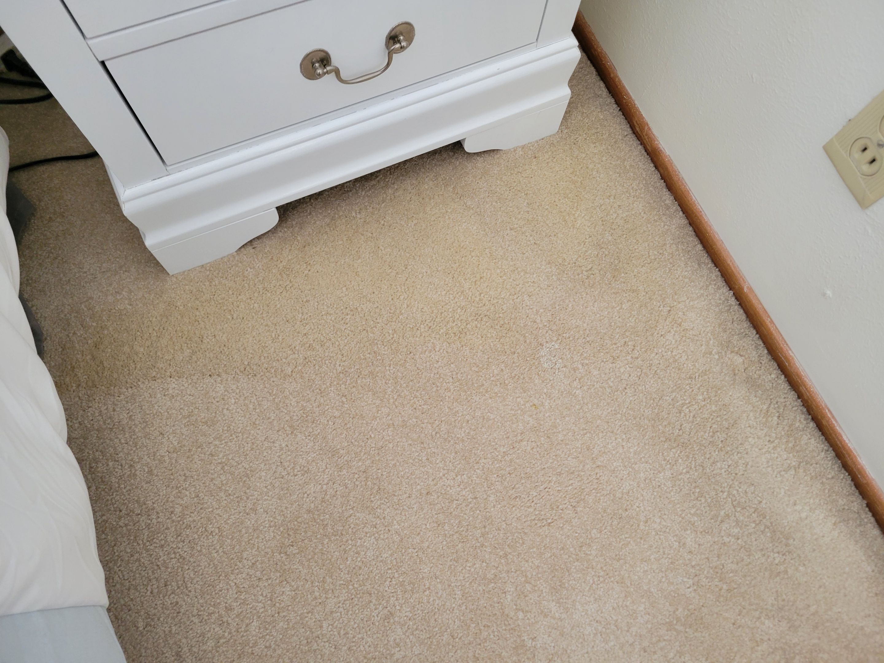 Removal of Glue Stains by Ardent Carpet Restore LLC