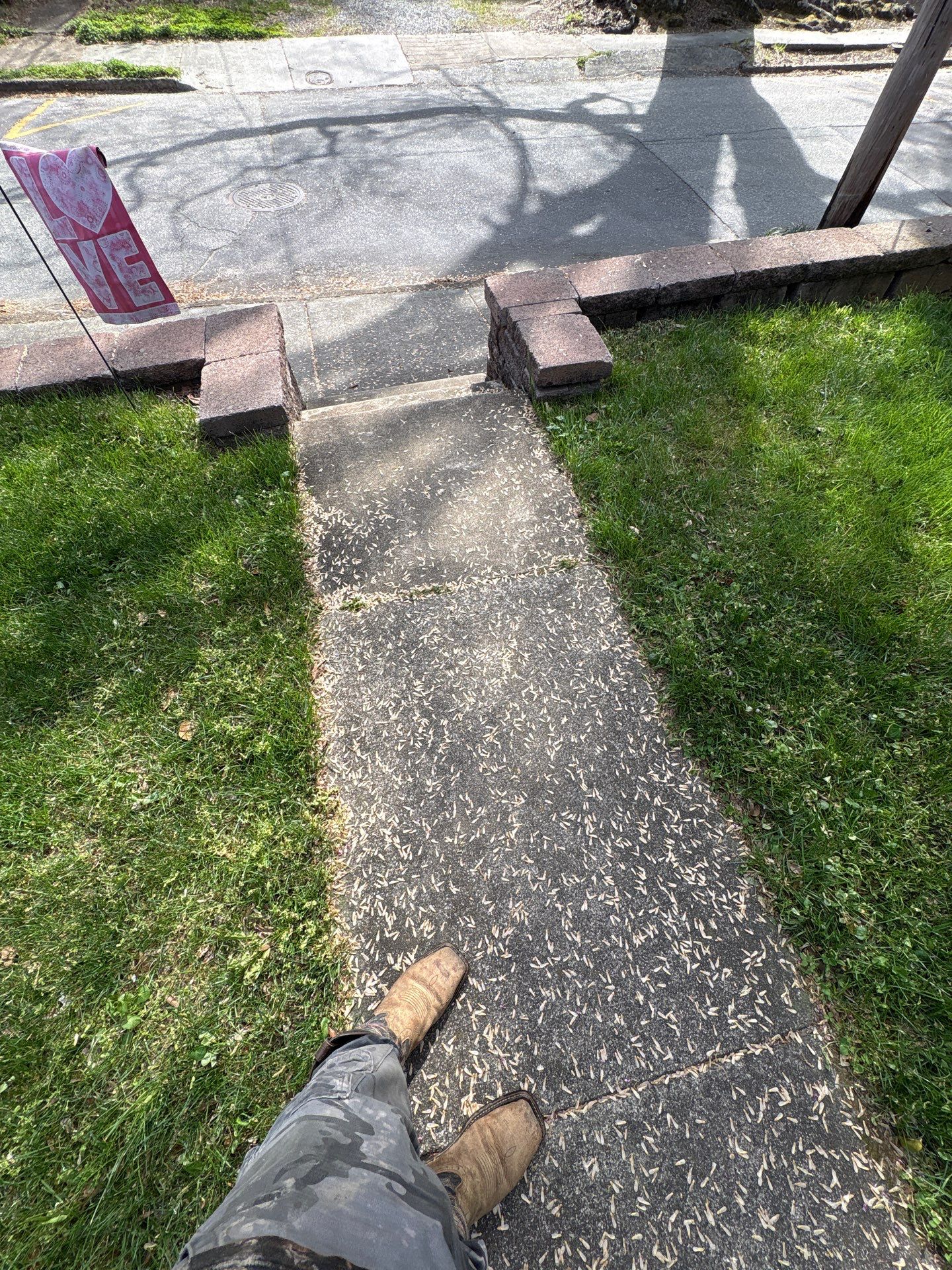Patio pressure washing and residential driveway surface cleaning