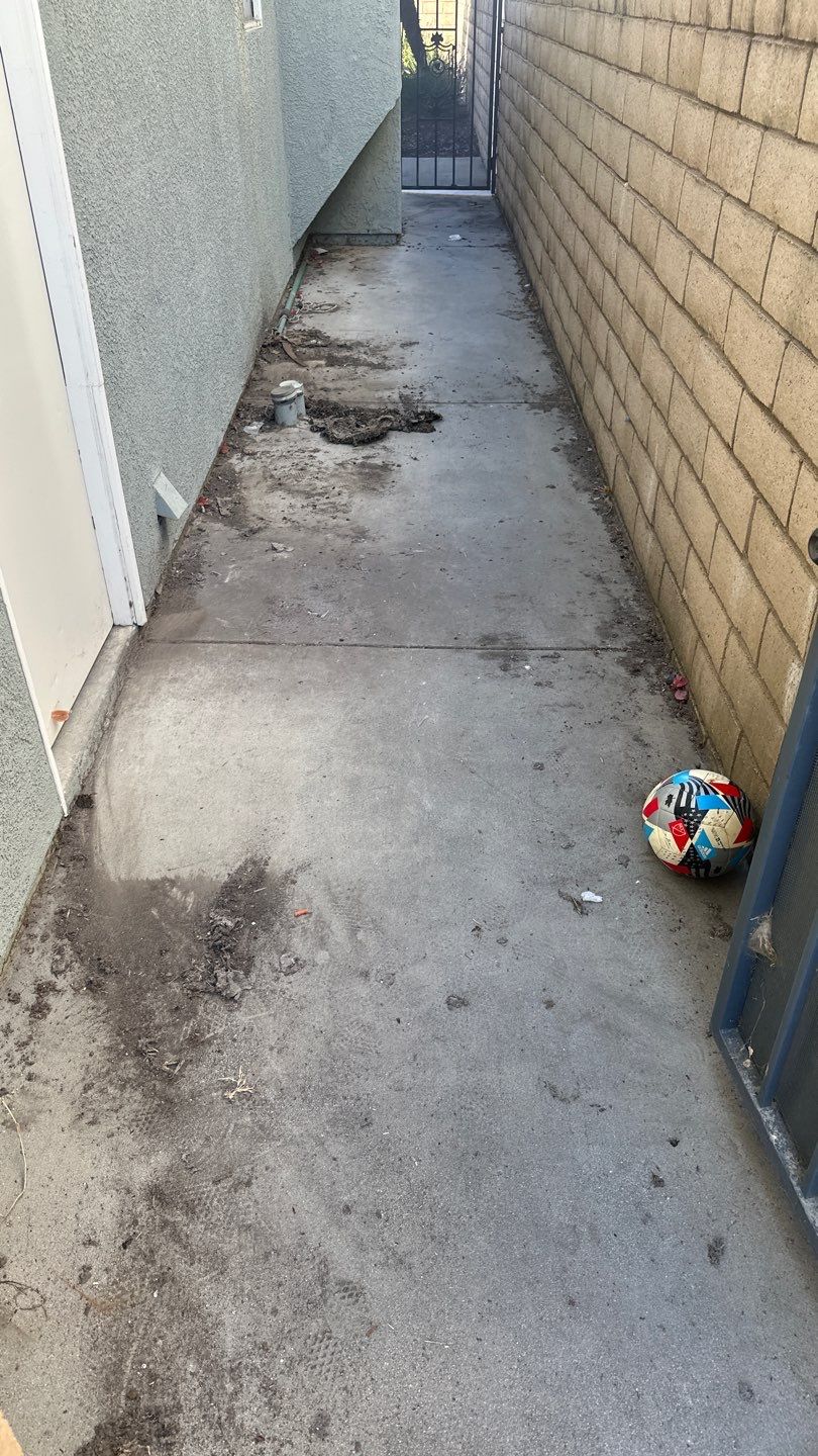 House washing, window cleaning, and screen repair by Property Cleaning Experts