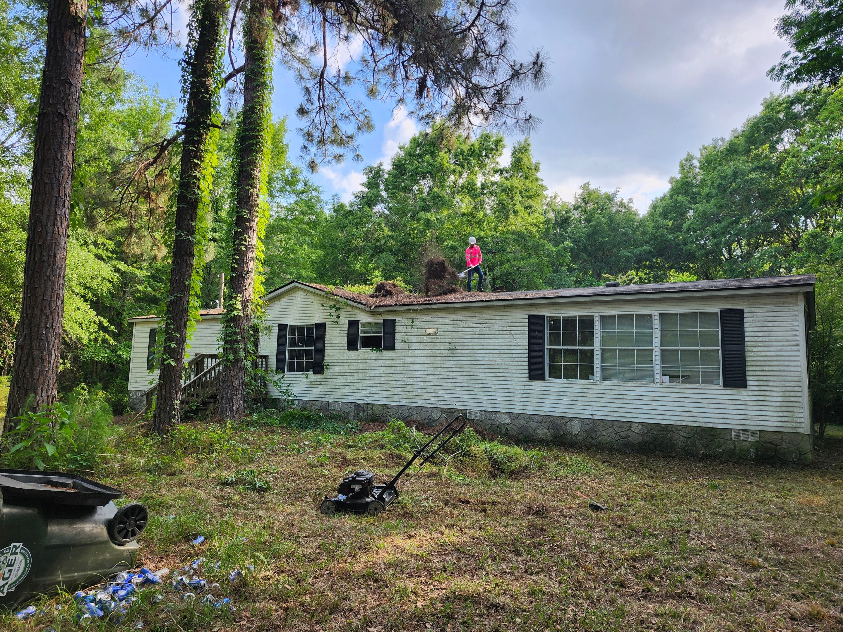 Exterior Clearing - tree trimming - grass cut by Swift Signings and Services LLC