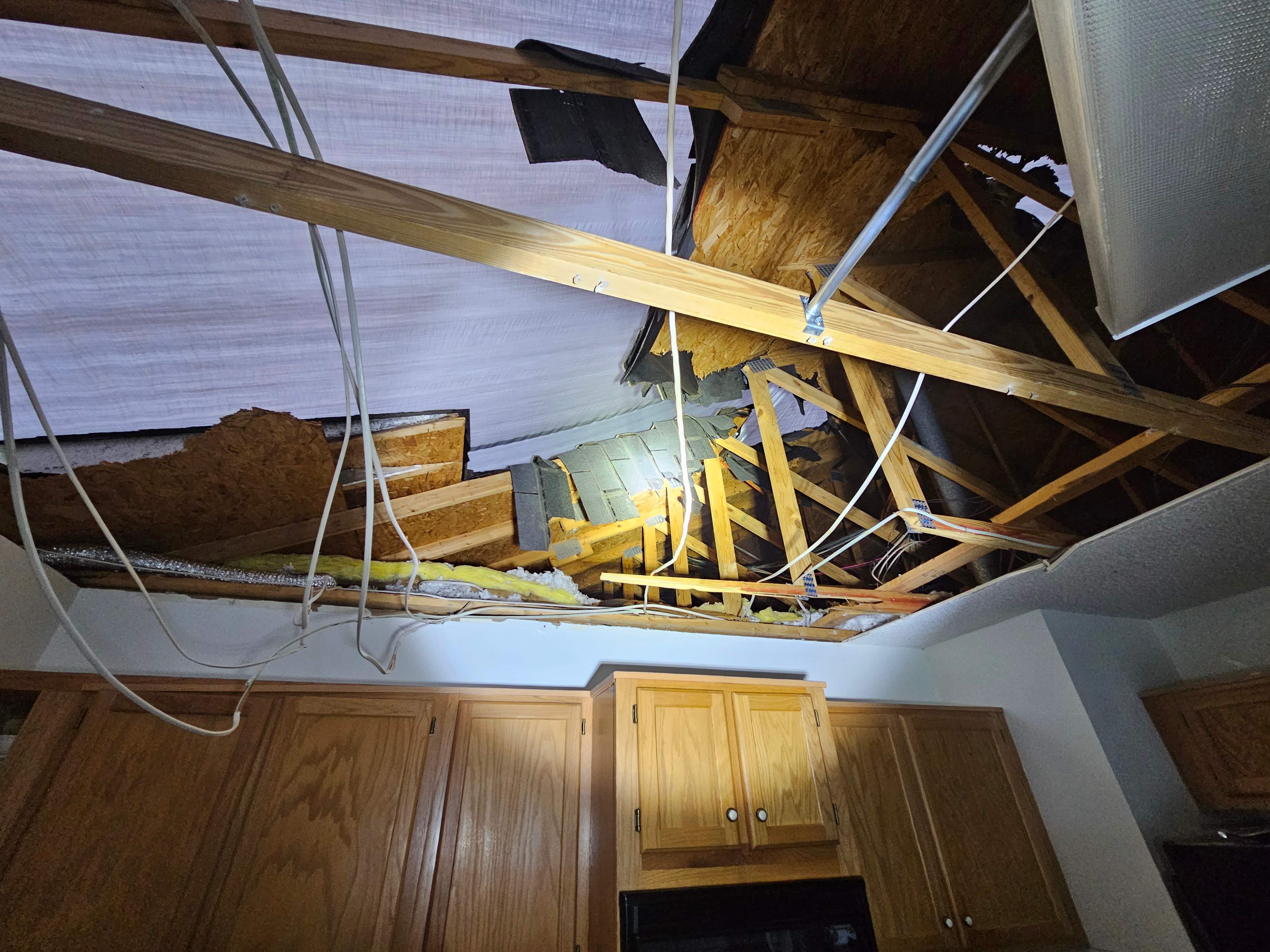 Tree Damage  by Ajayi Design and Construction 