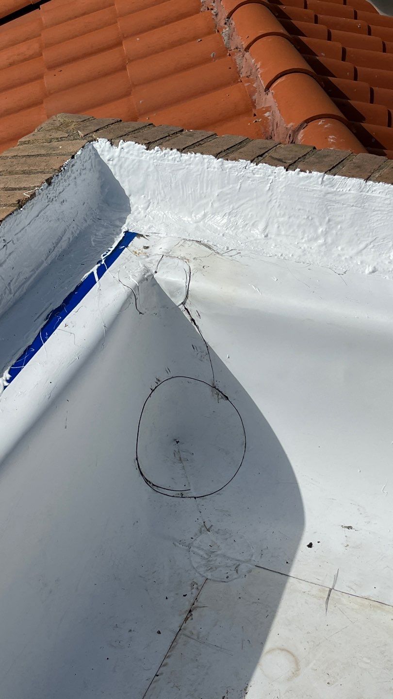 Problems in Paradise  by Bayfront Roofing and Construction