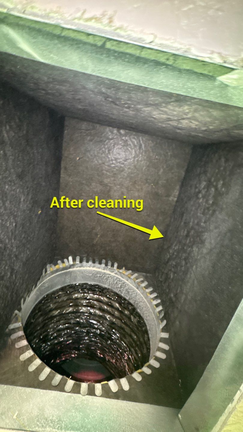 Dirty Air Duct Cleaning in Clermont by Hygienic Air, Inc