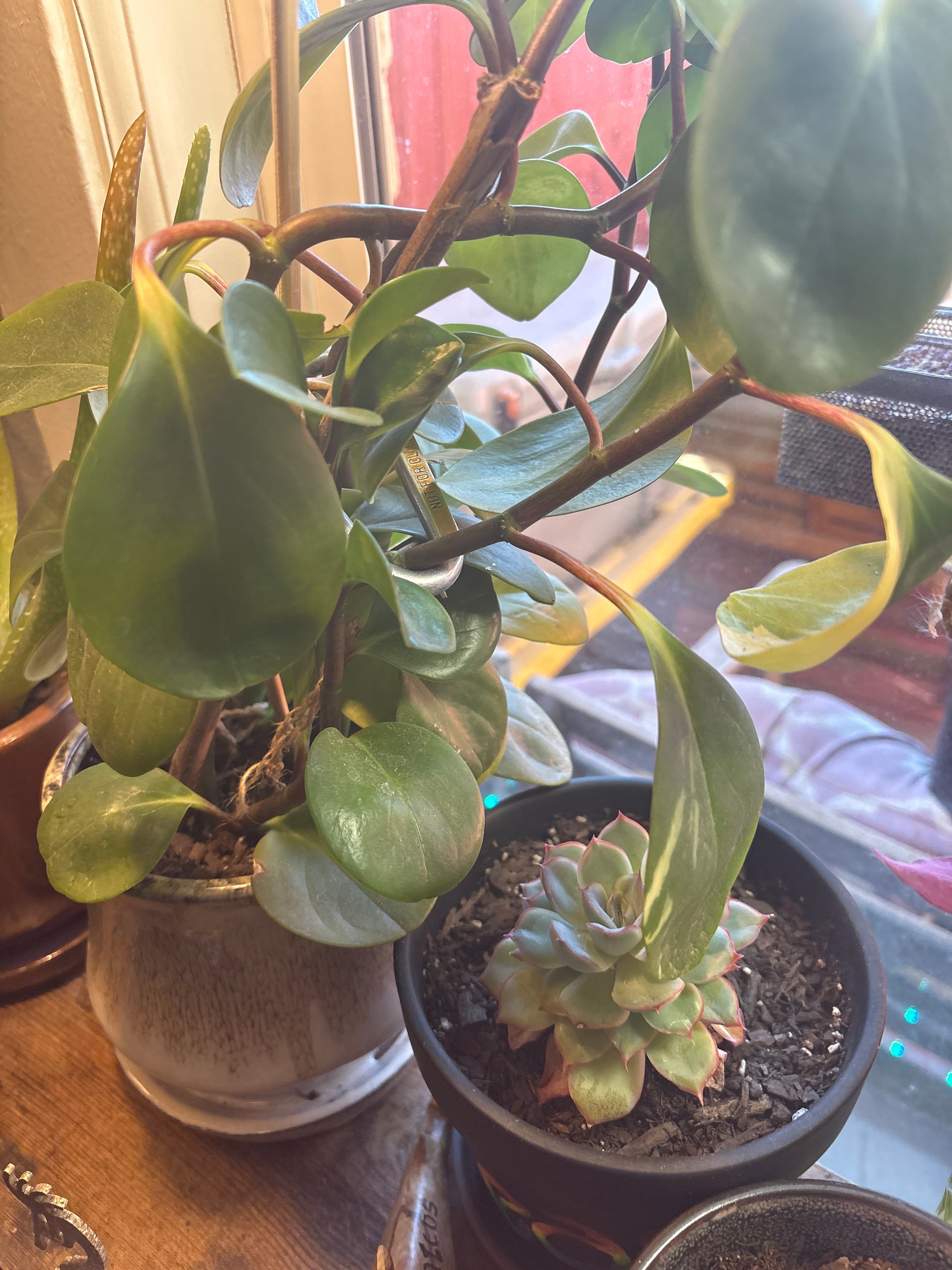 Don Kennedy Roofing featured photo.