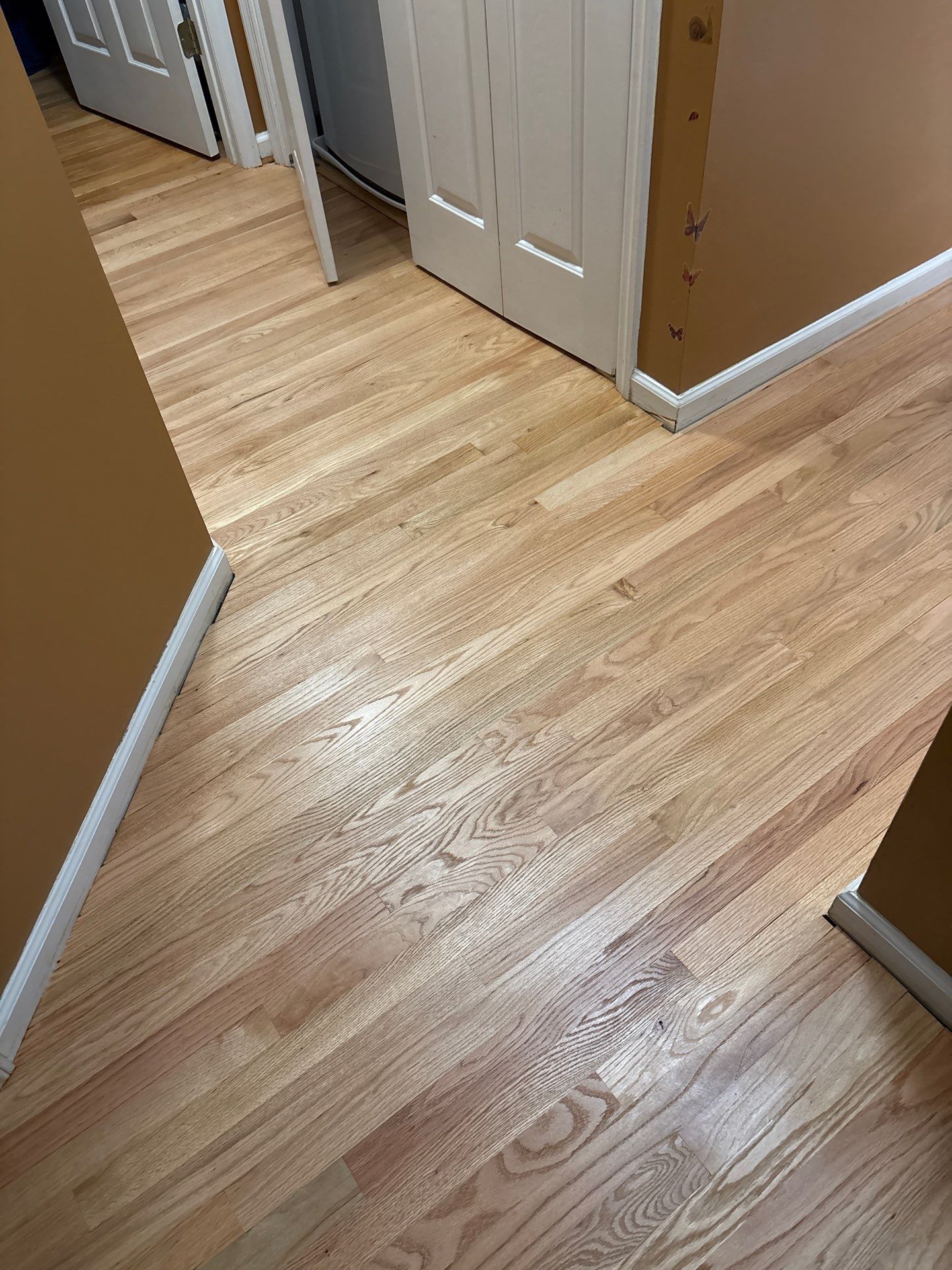 Refinishing an old Bruce prefinished hardwood floor by Accent Custom Floors