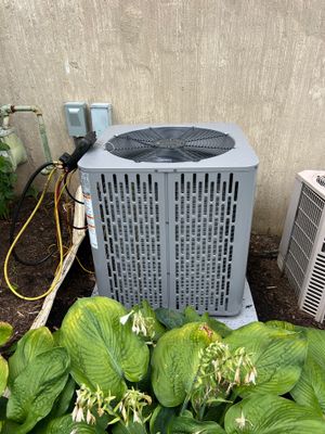 Project in Mendham Township