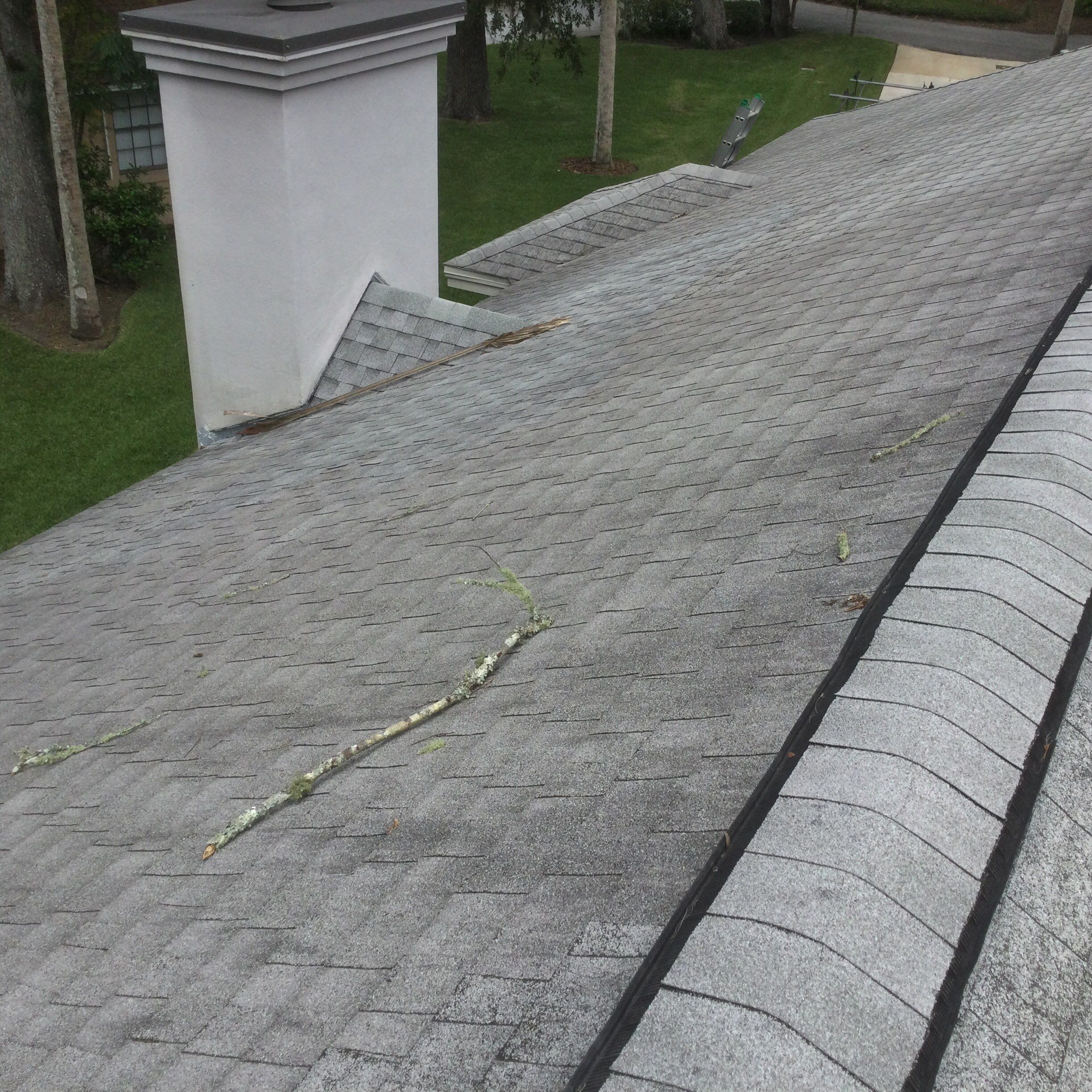 Shingle -> Shingle by Prime Roofing