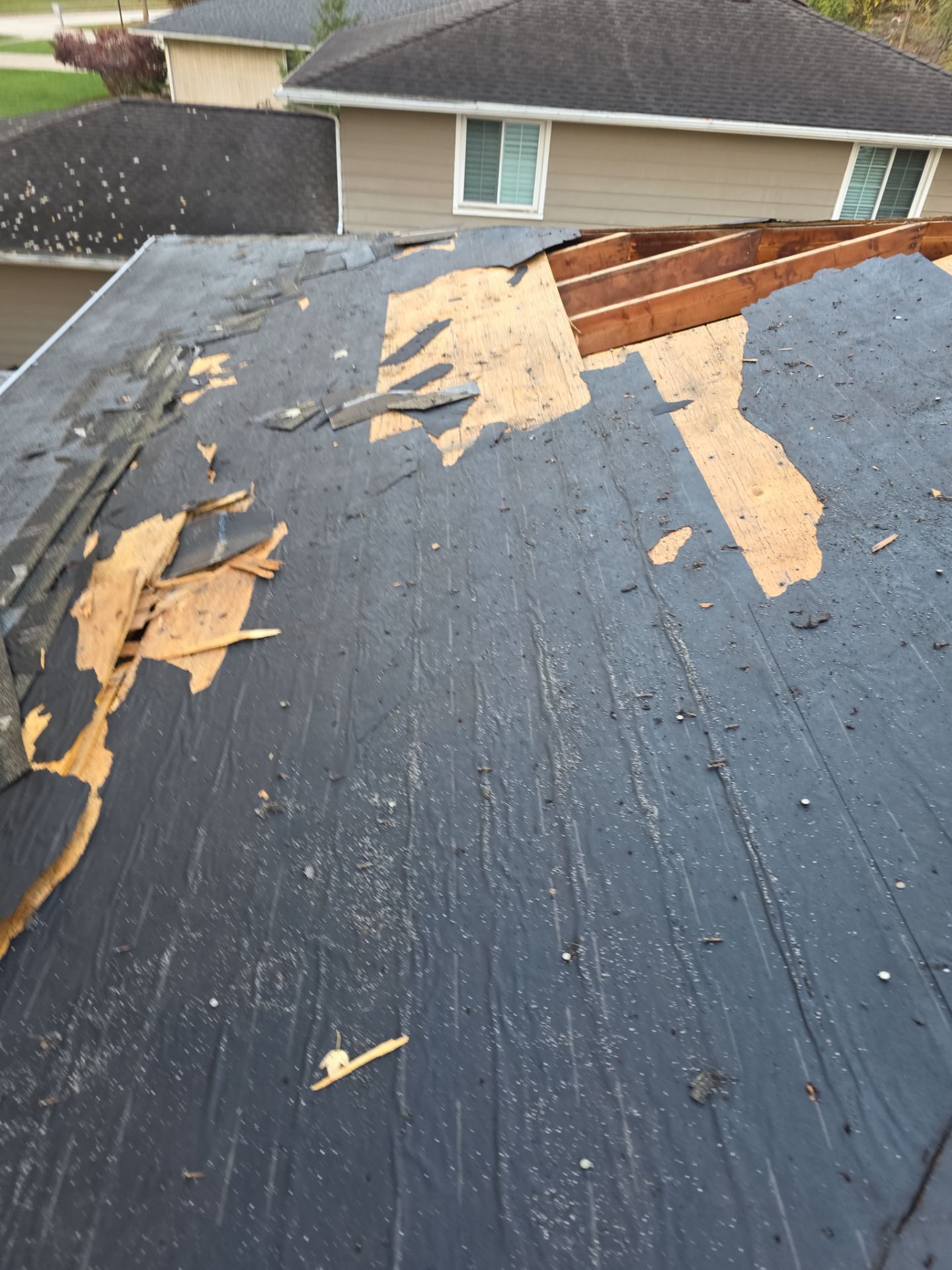 Shingle Roof Replacement by Absolute Roofing and Construction