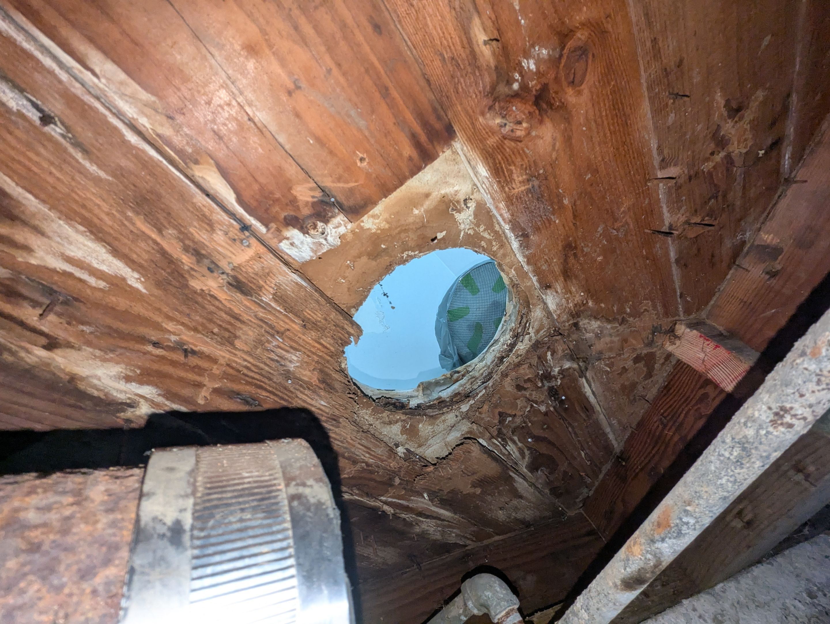 New Toilet Drain and Subfloor Repair by Professional Plumbing Inc