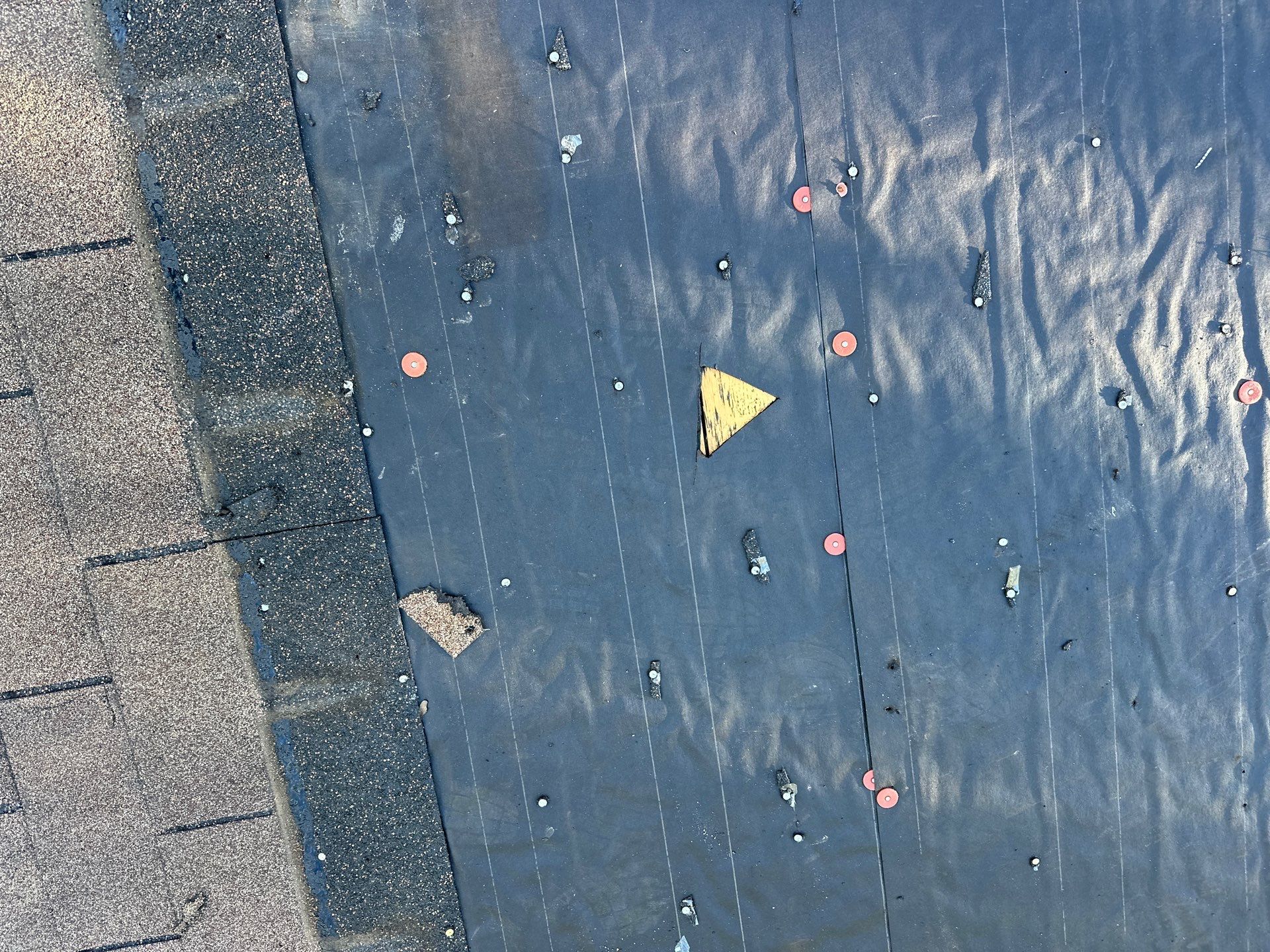 Project in The Colony  by Zeus Exteriors