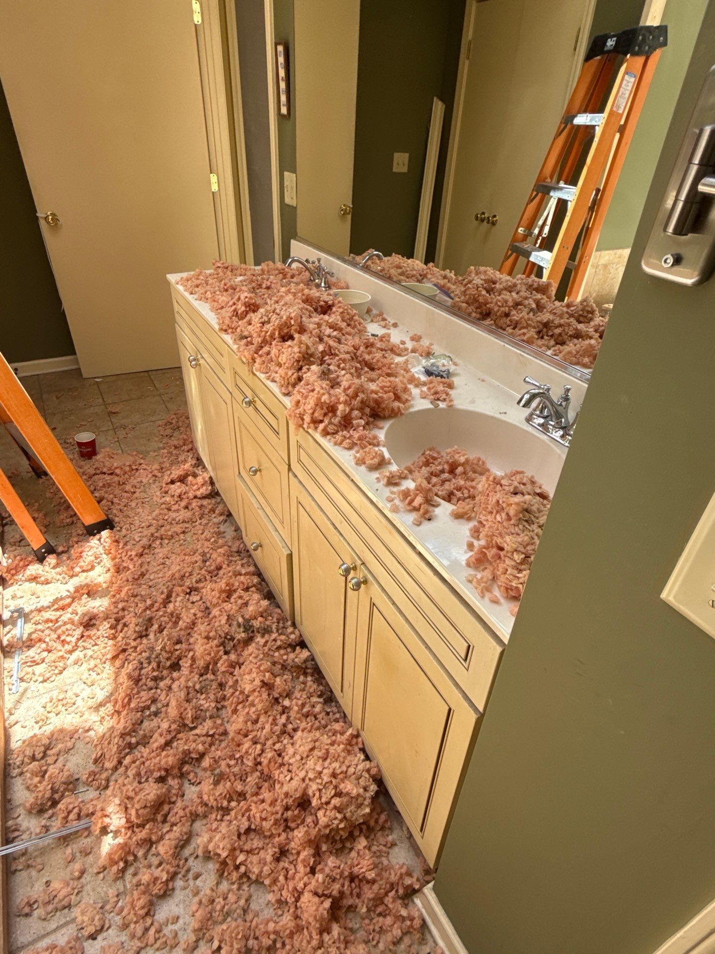 Tree Damage Restoration and Asphalt Shingle Roof Replacement in Memphis by Revival Roofing Services