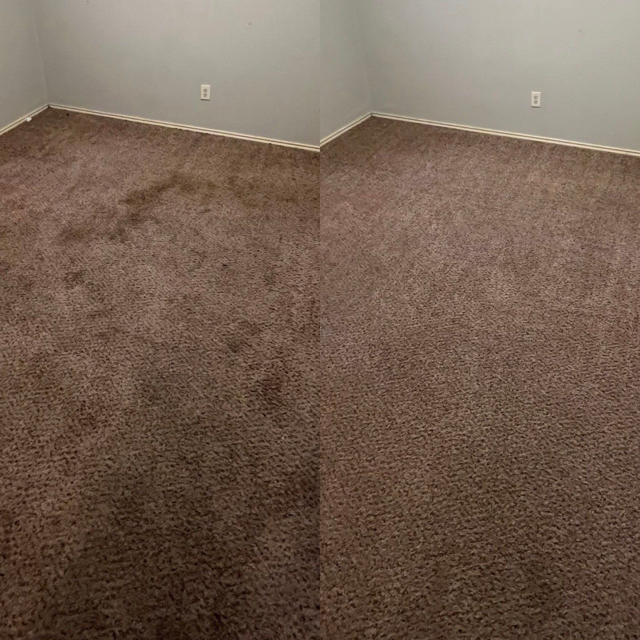 the carpet cleaning service is removing stains and dirt from carpeted surfaces to restore cleanliness and appearance