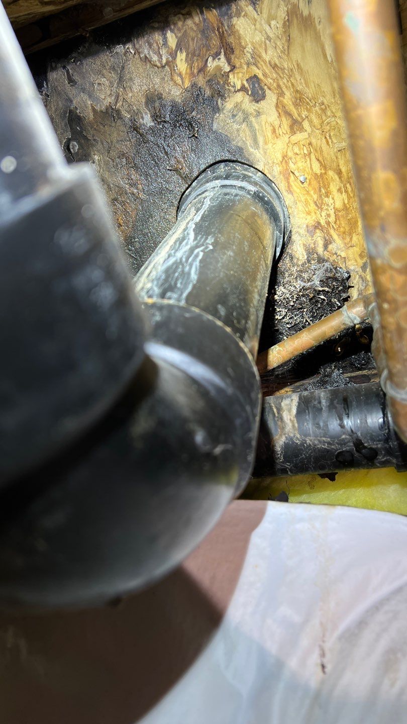 Mold Remediation by Accountable Home Services