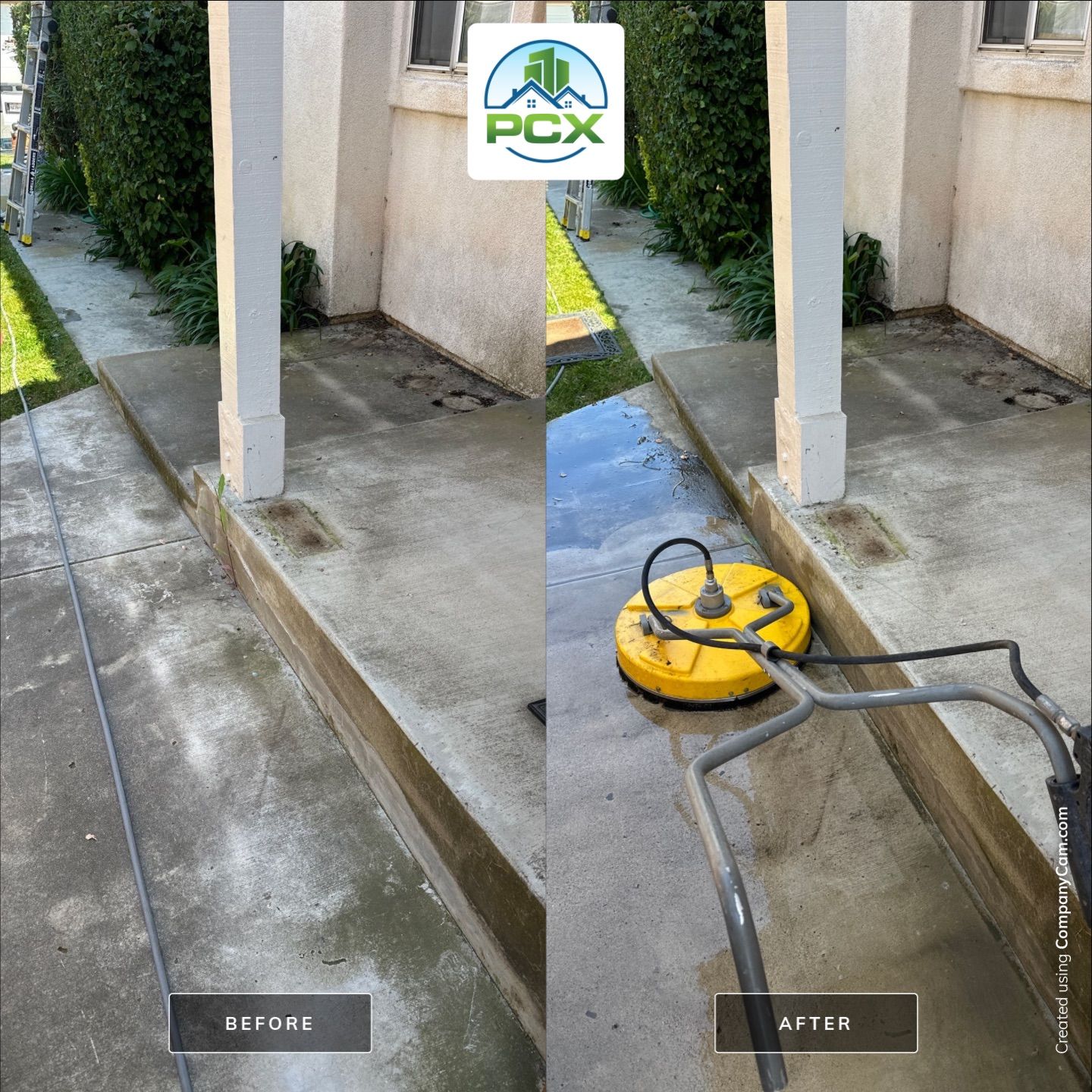 This home was COVERED in growth by Property Cleaning Experts, LLC