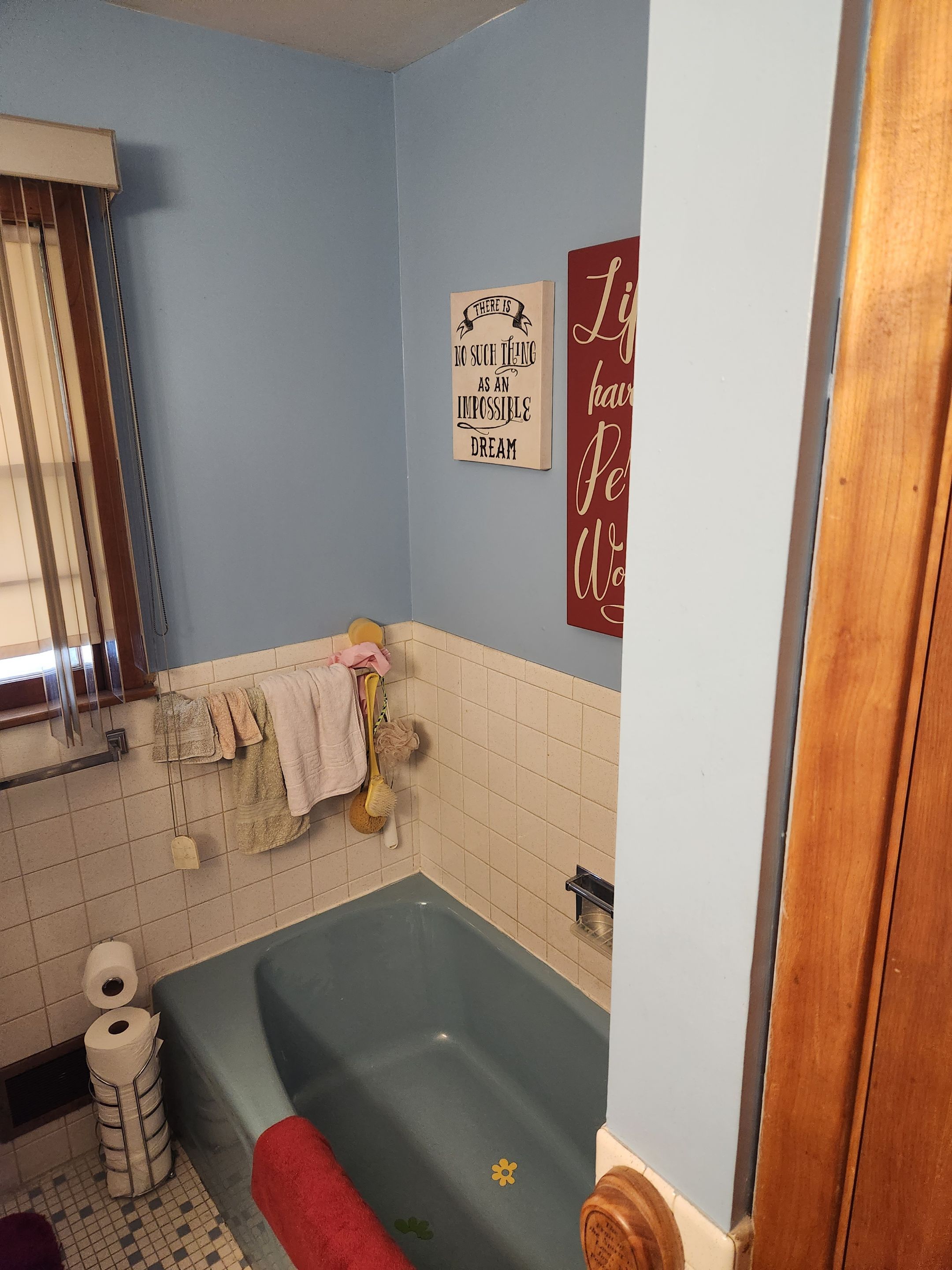 Tub to shower conversion by The Shower Company