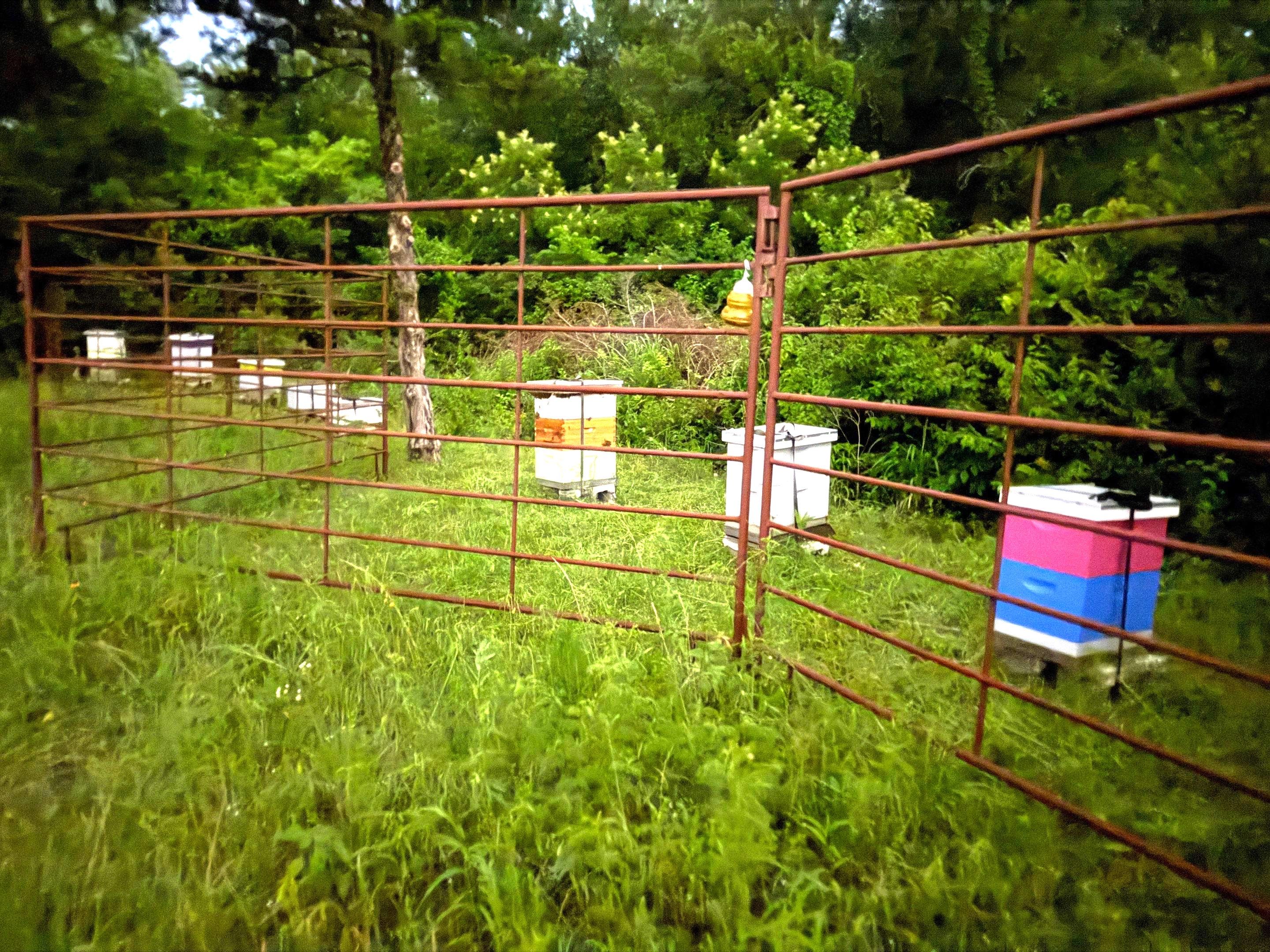 Rockwall County Ag. Exemption by Rockwall Honey Bee Company