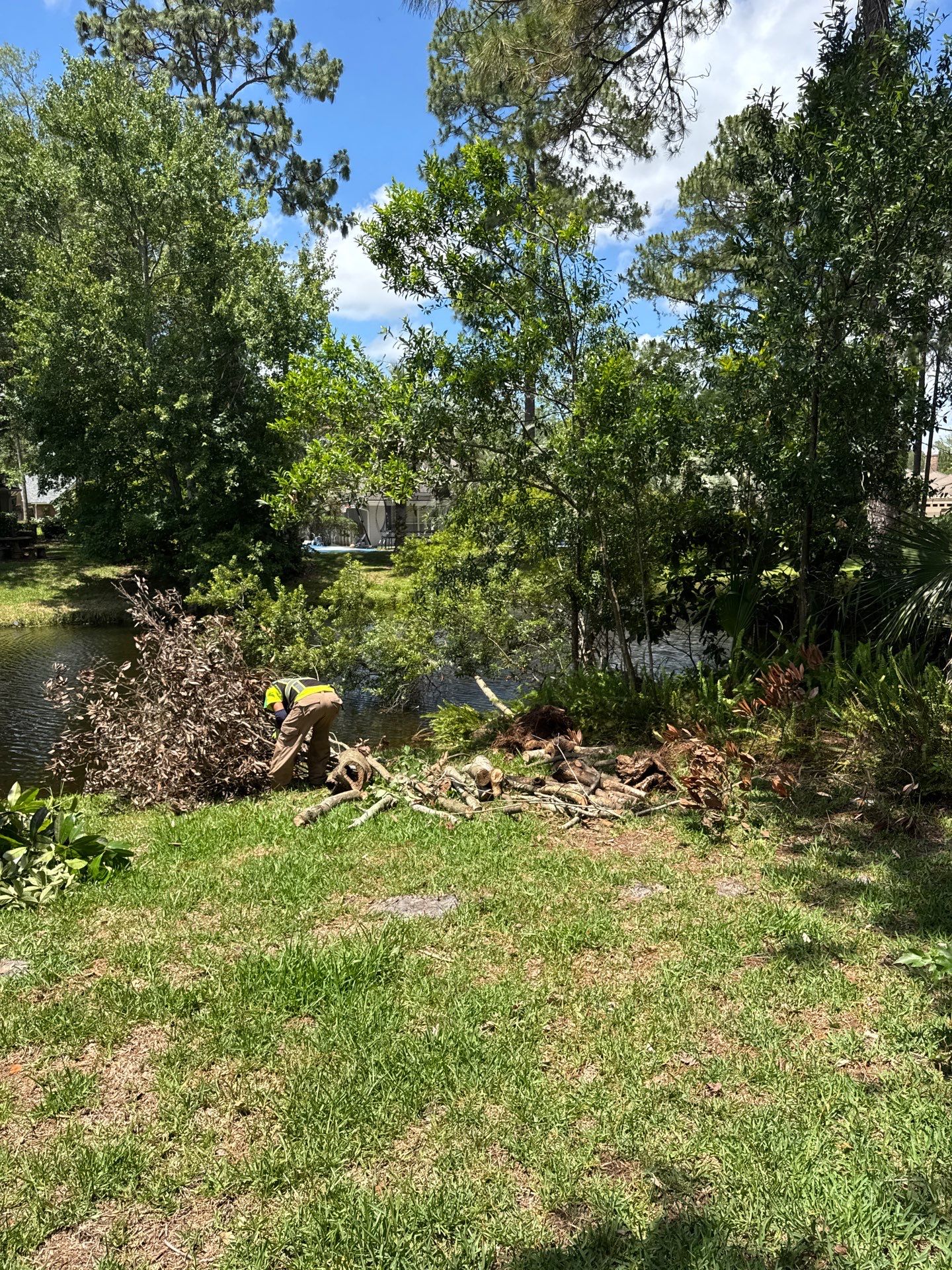 Deerwood Resident | Tree Trimming by ProGreen Services