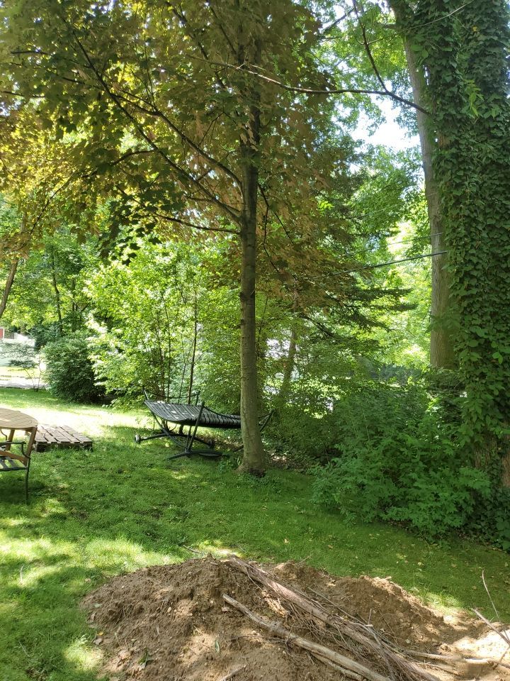 Tree Removal using Tree Removal by Mike Jones & Sons Tree Service LLC 