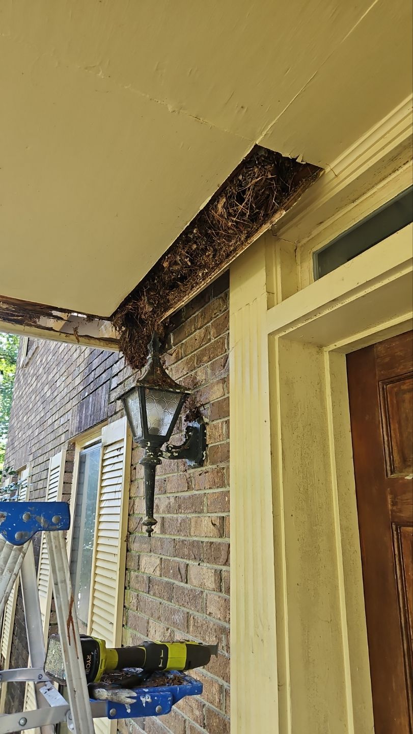 NEW ROOF WITH TRIM RESTORATION by Indigo State Roofing