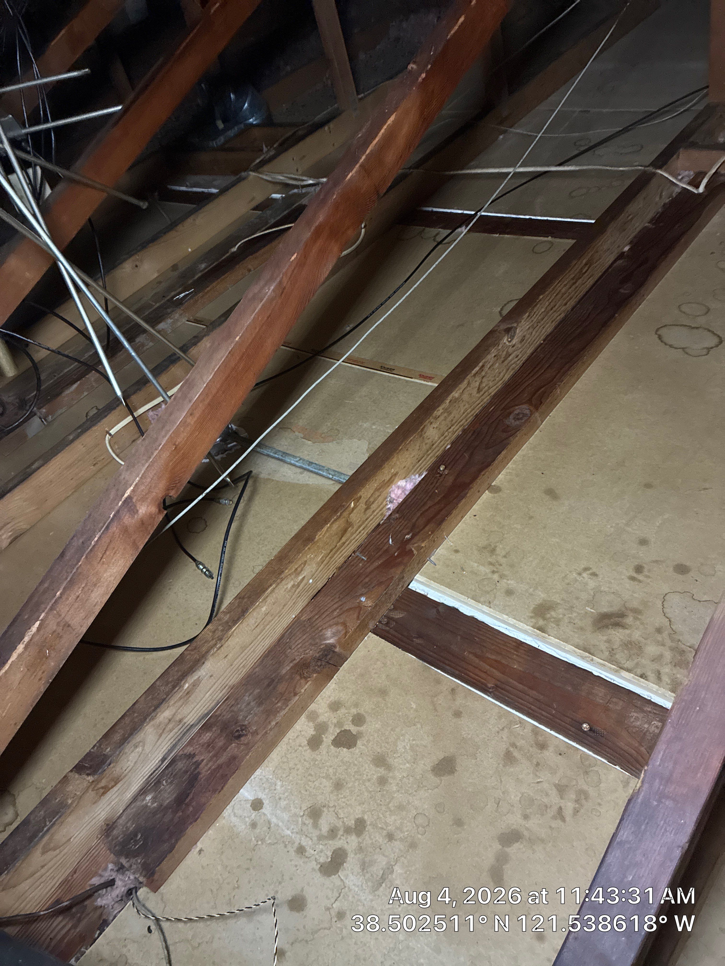 Project in Sacramento by 911 Hazmat Cleanup