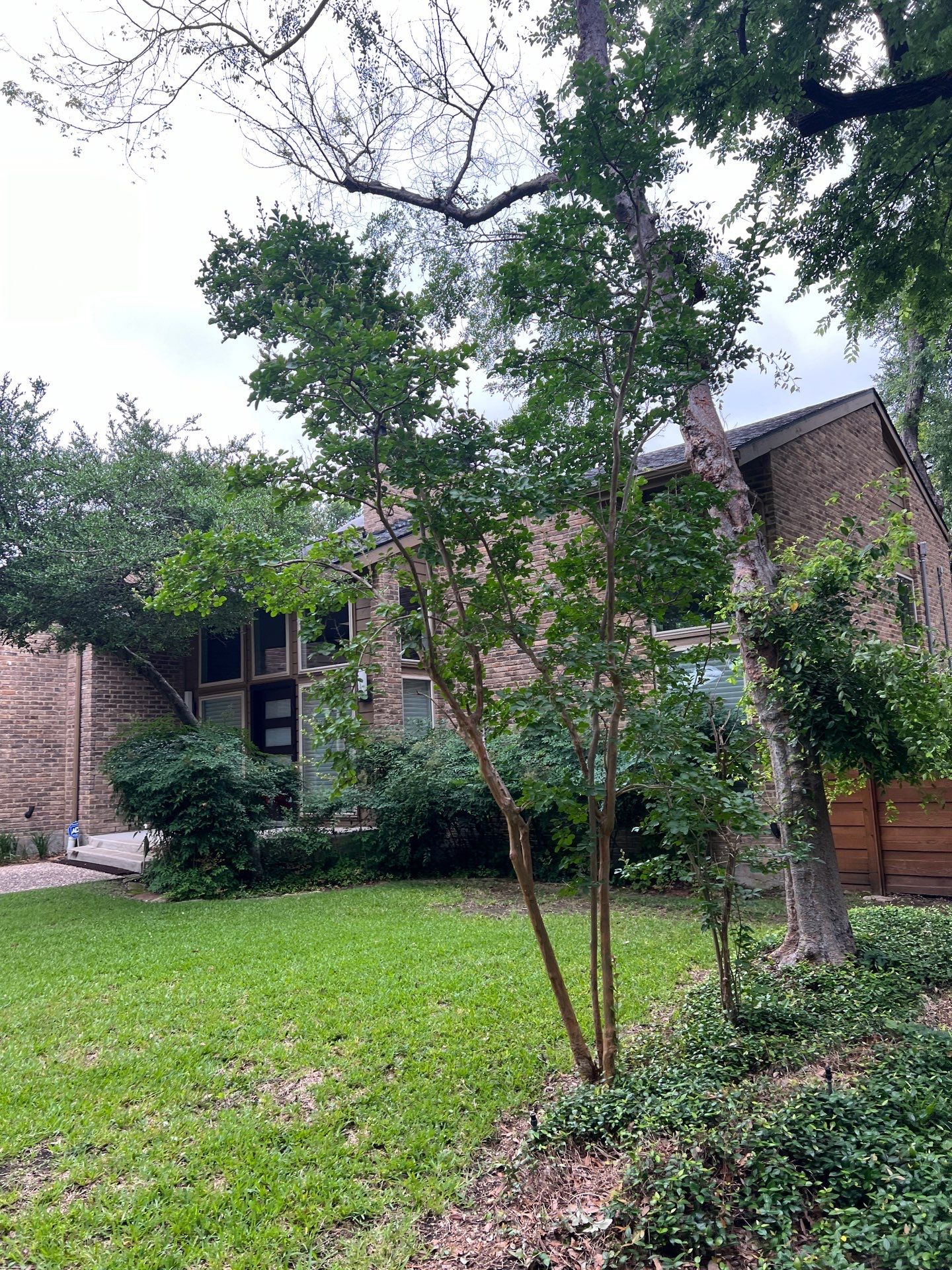 Project in Dallas by Rhino Roofing and General Contracting, LLC