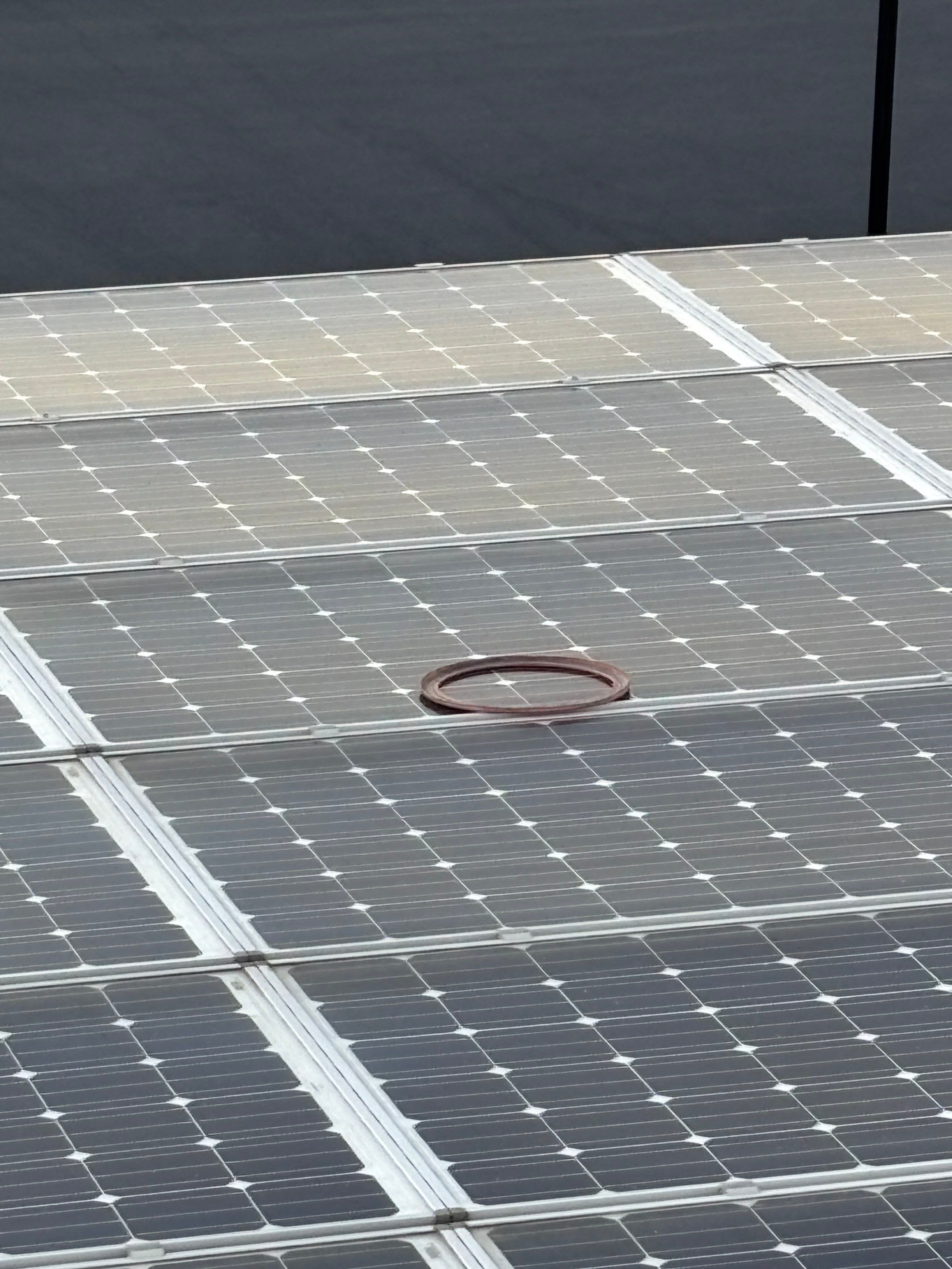 Commercial Solar Panel Cleaning by Palm Coast Solar Cleaning