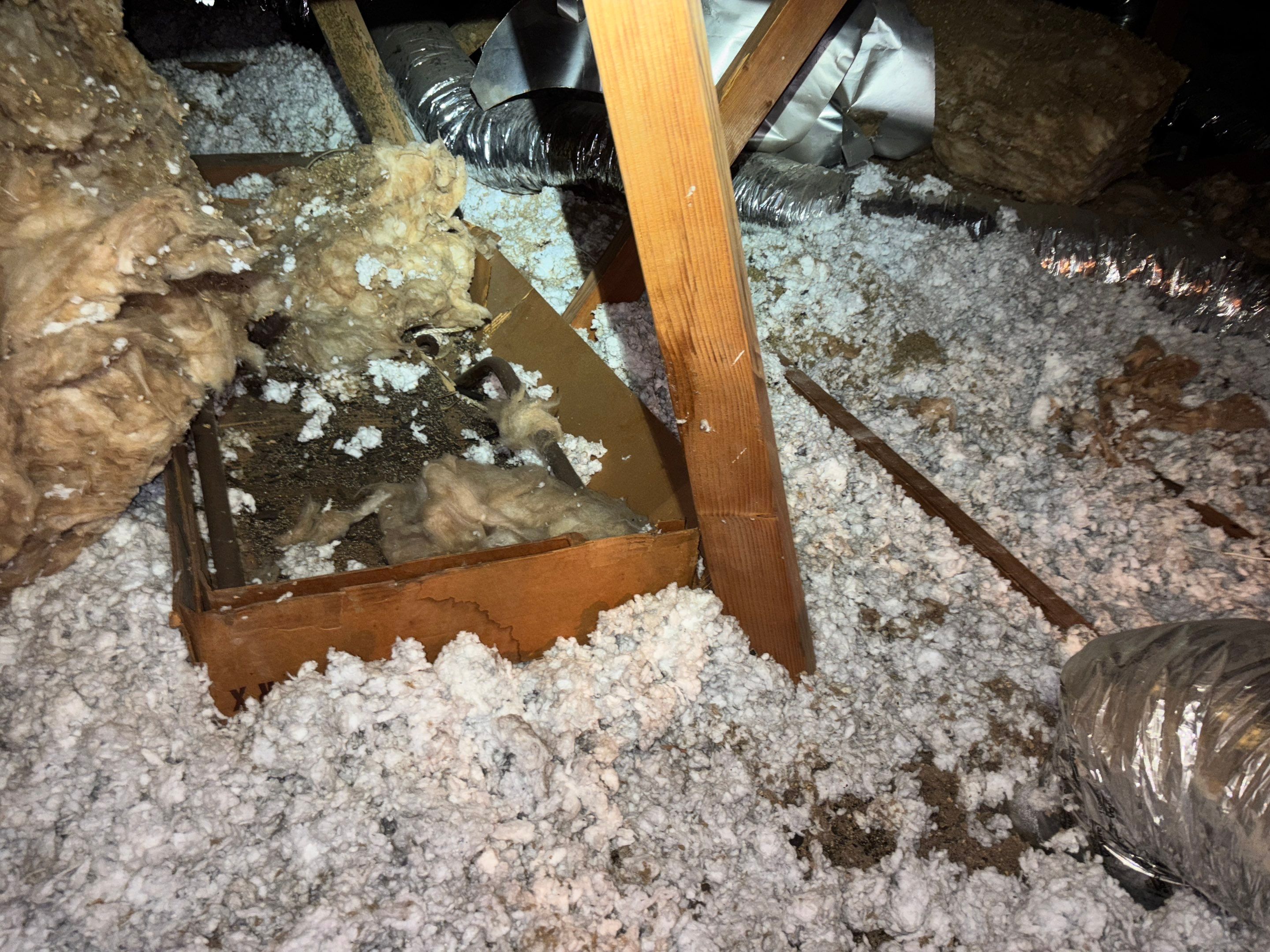 Project in Bellflower by Insulation Labs