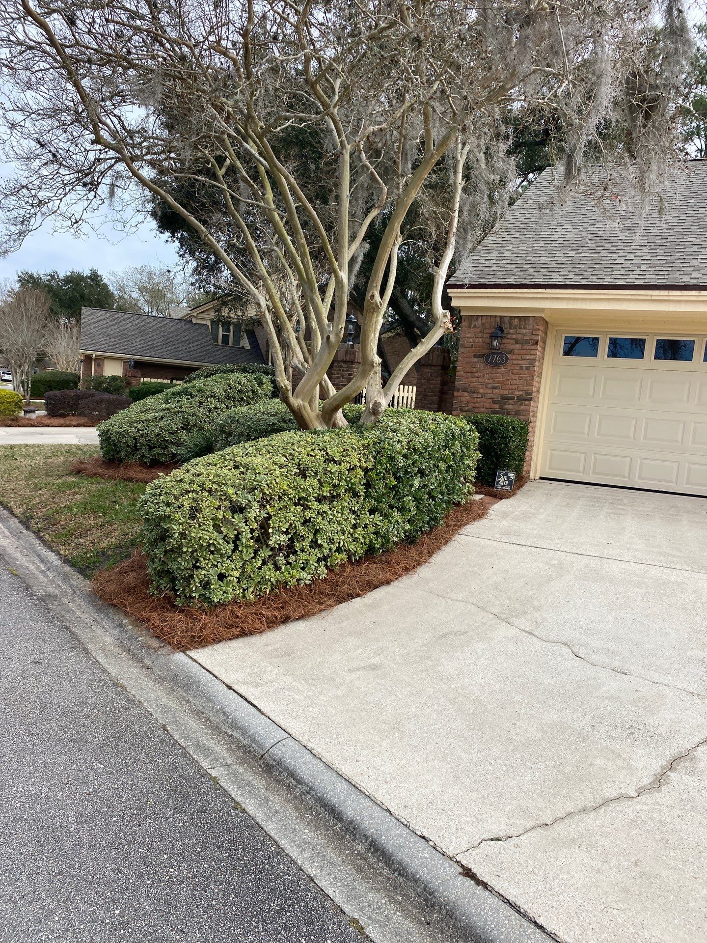 Deerwood Pointe | Tree Removal & Pine Straw Installation by ProGreen Services
