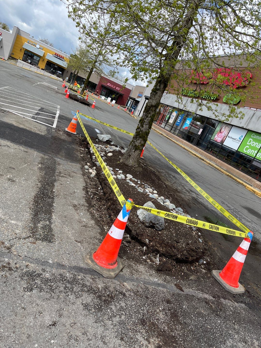 Colliers - Woodinville New Asphalt Parking Lot by Jireh Asphalt & Concrete Inc 